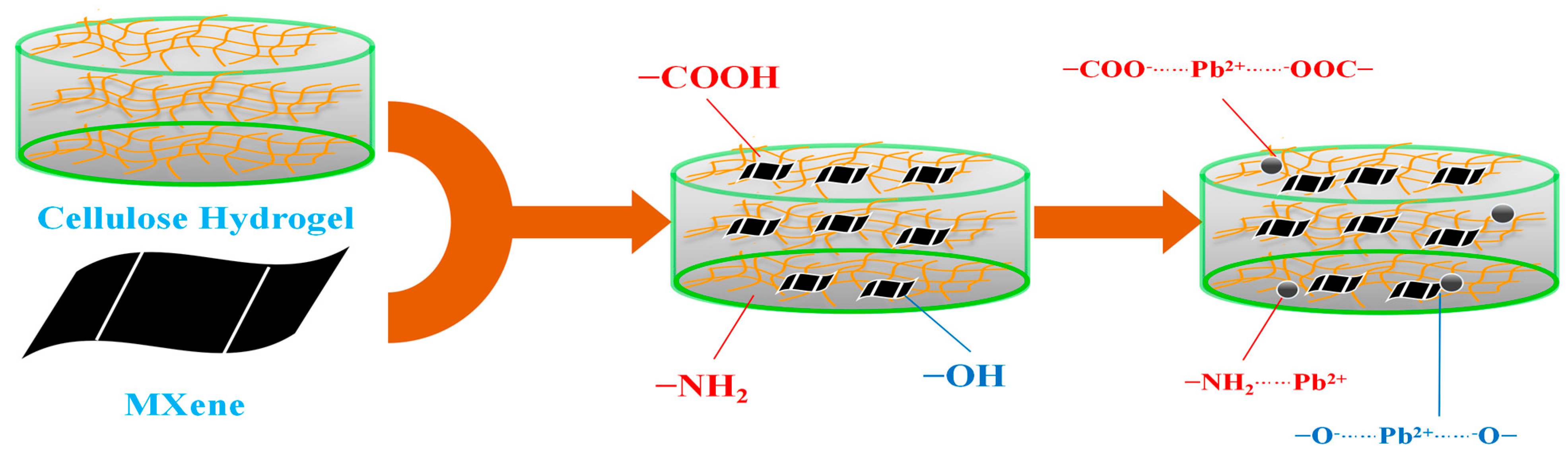 Polymers 16 00189 g010