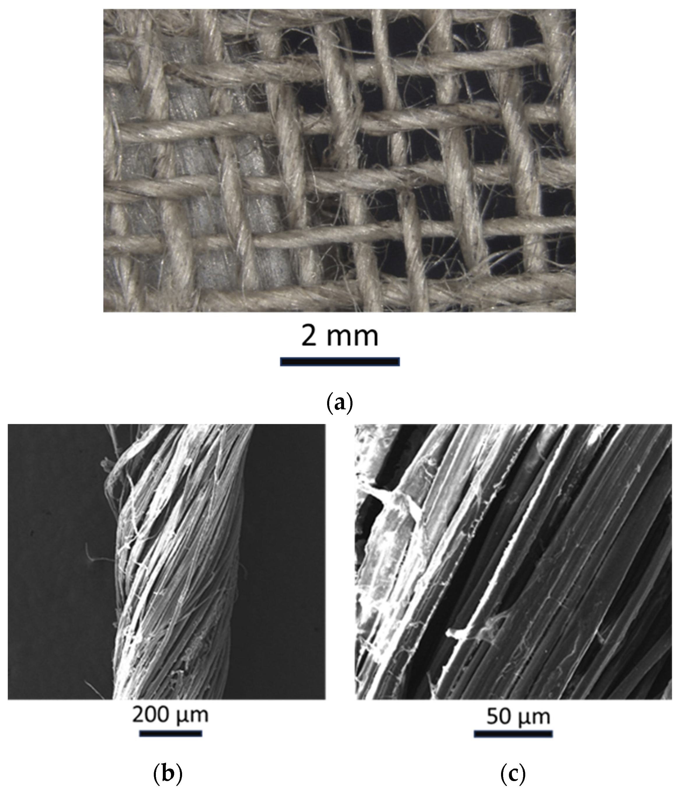 Polymers 16 00190 g001 Polymers 16 00190 g001