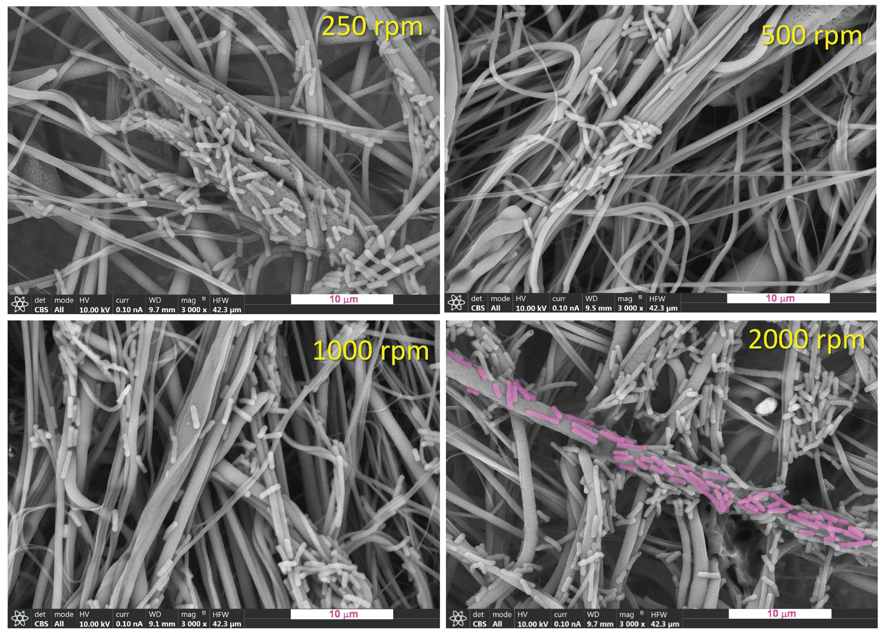 Polymers 16 00191 g014