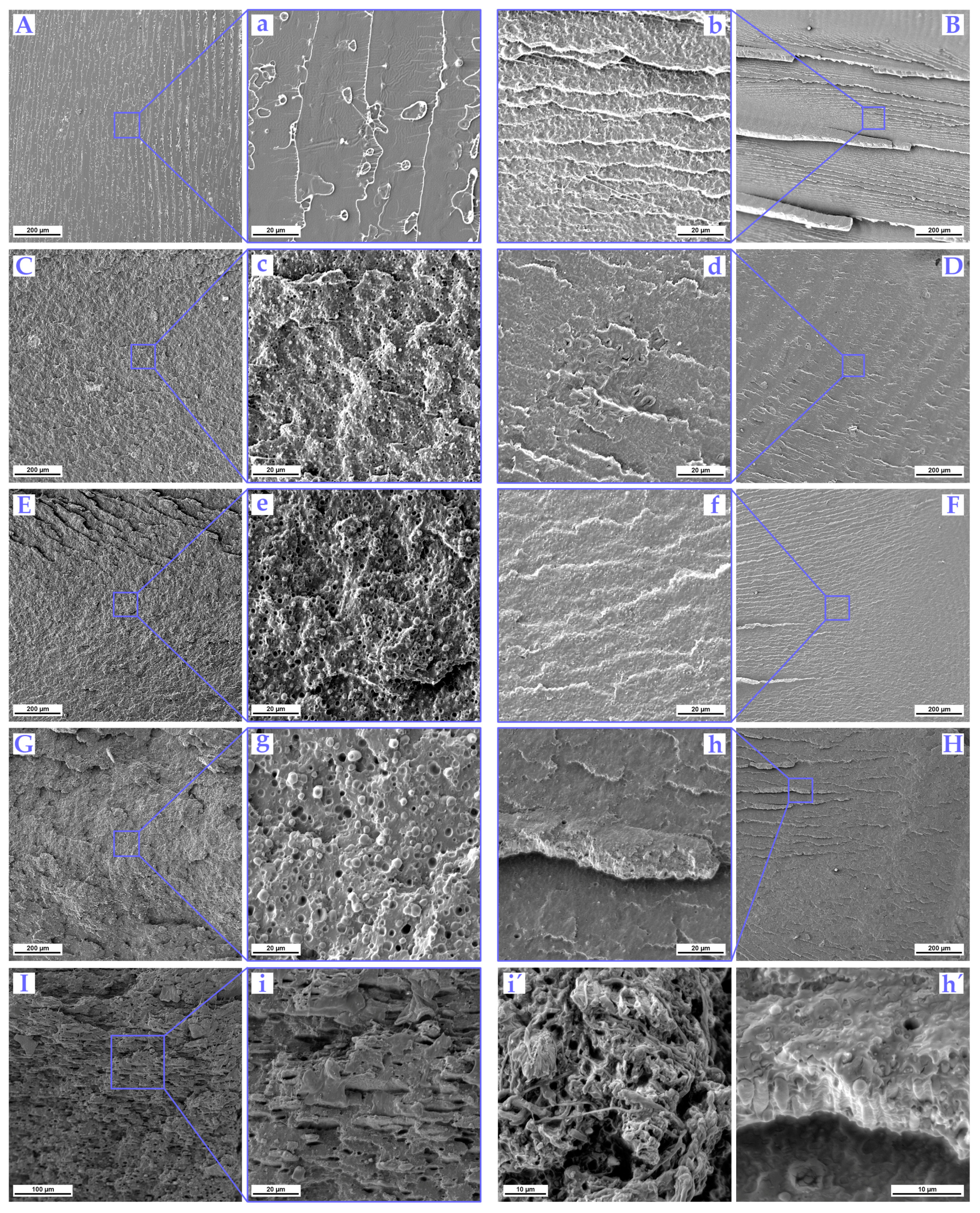 Polymers 16 00192 g005 Polymers 16 00192 g005