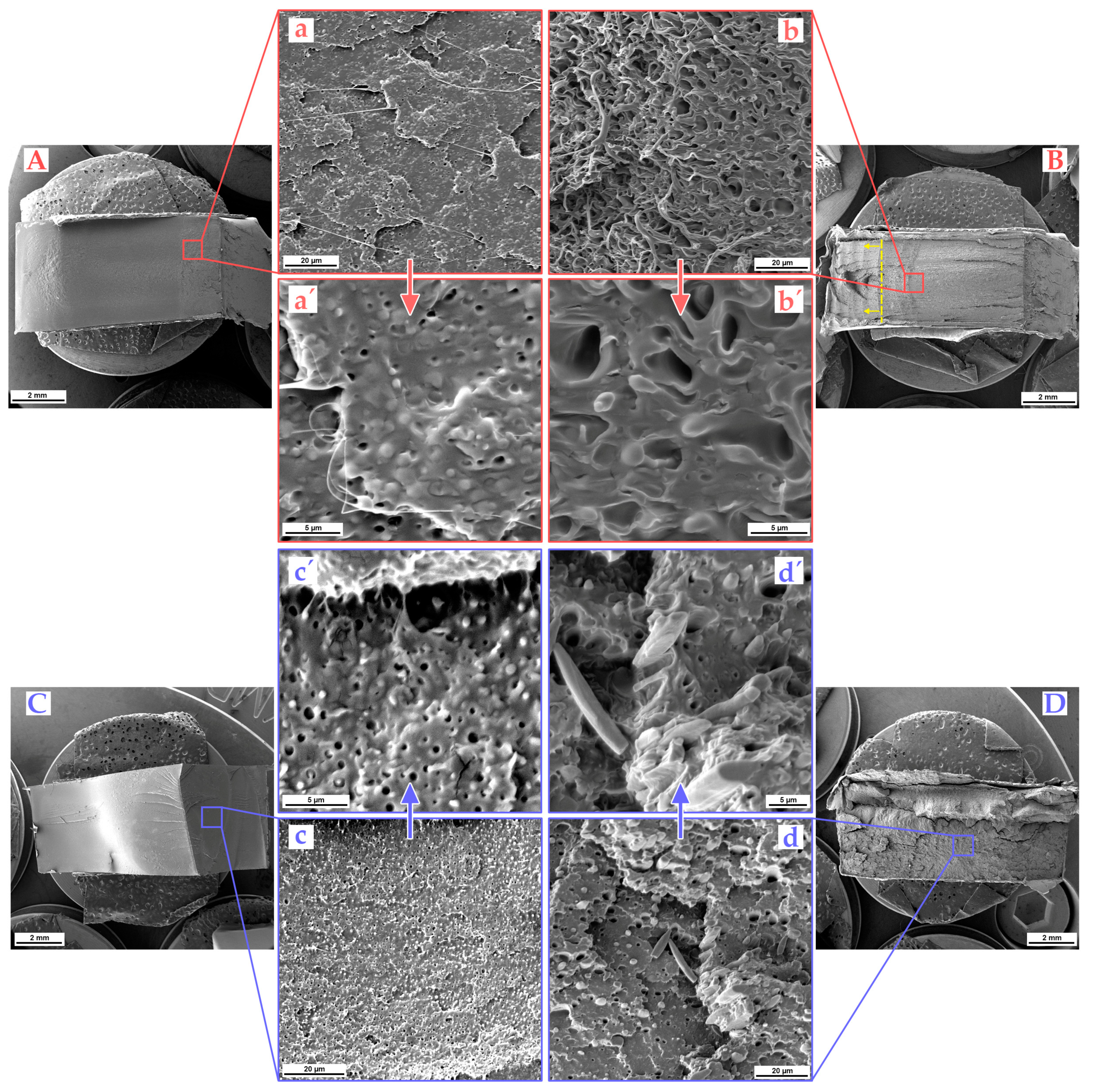 Polymers 16 00192 g006 Polymers 16 00192 g006