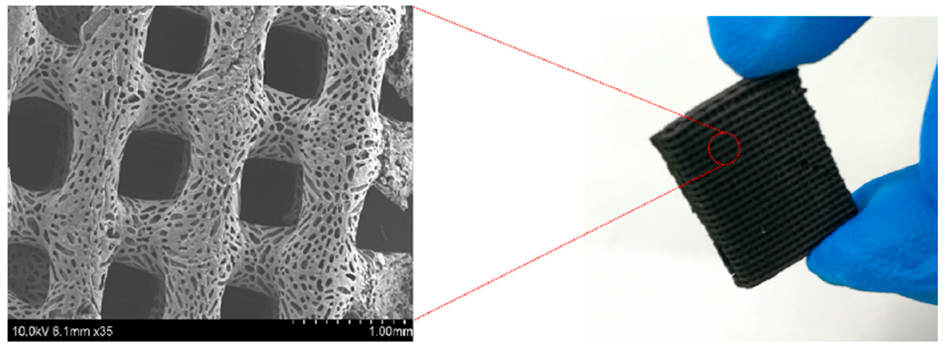 Polymers 16 00195 g018