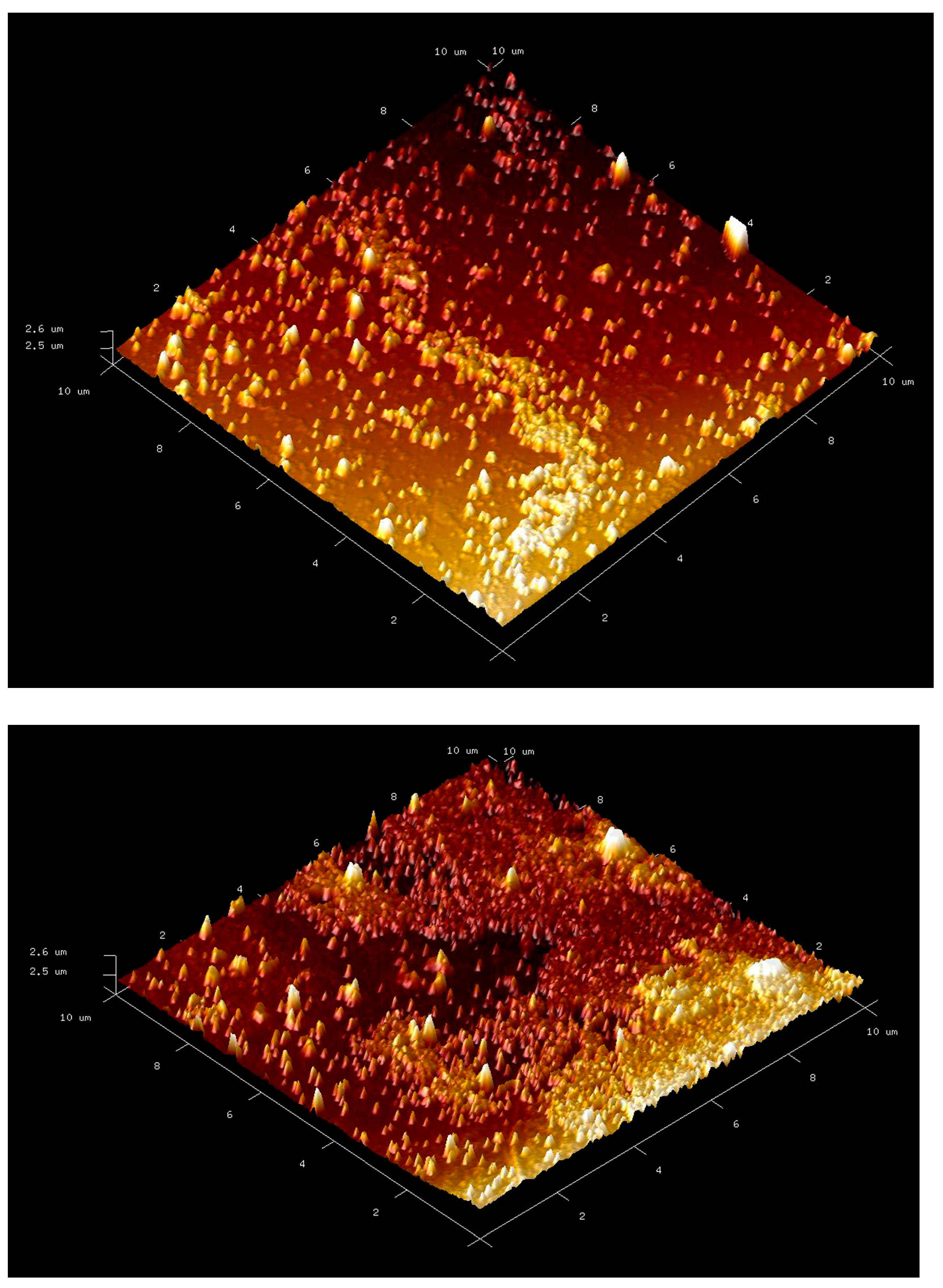 Polymers 16 00196 g005
