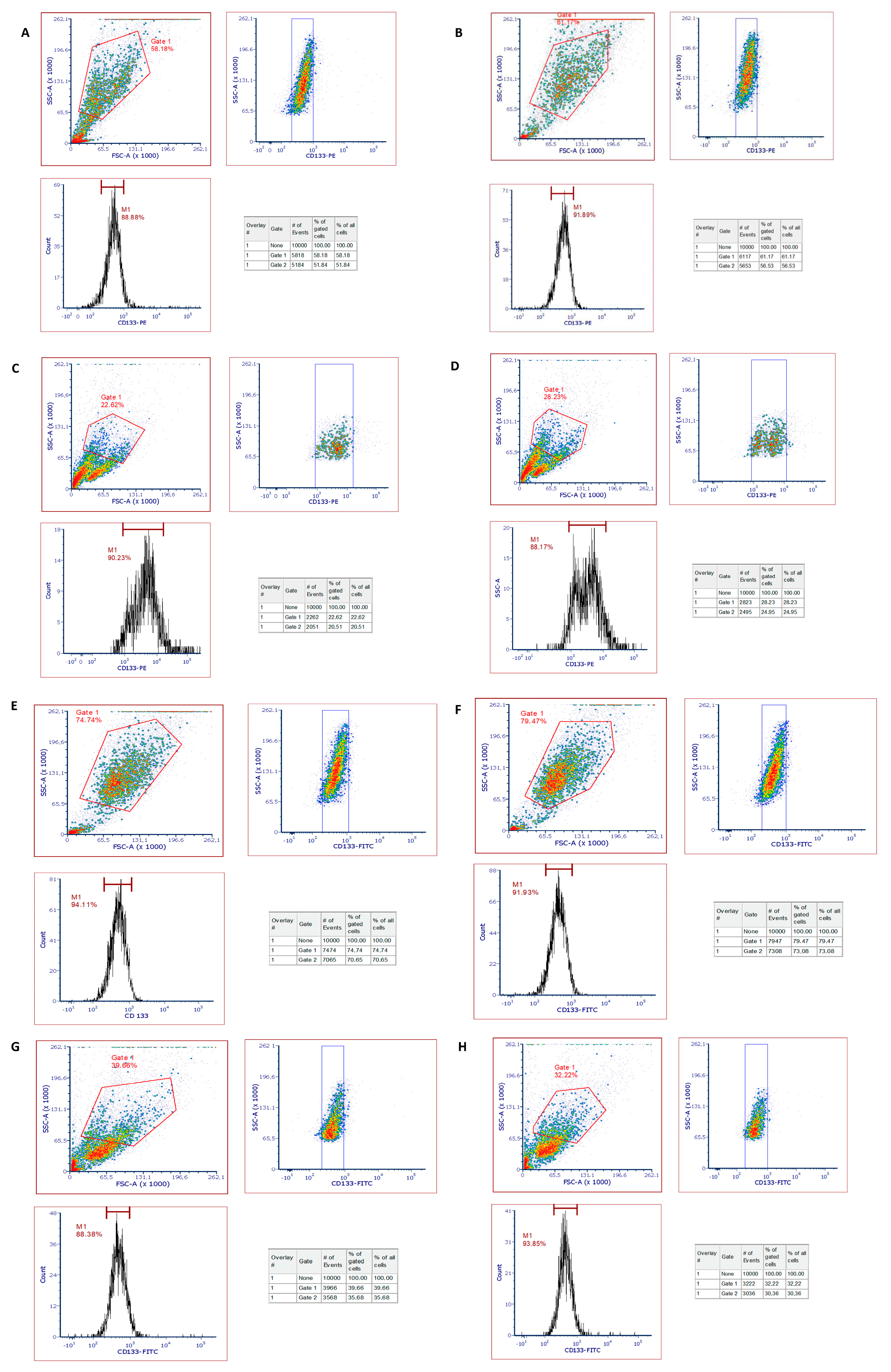 Polymers 16 00196 g010