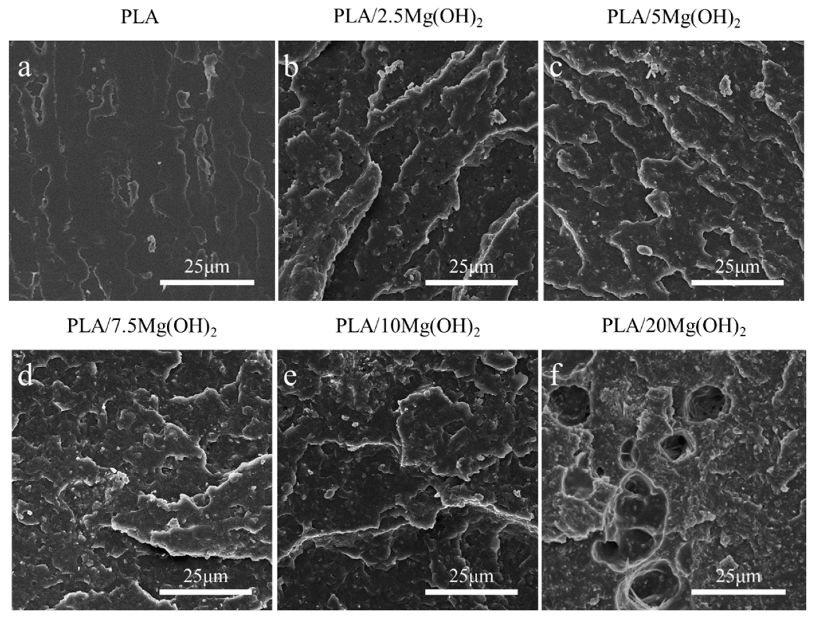 Polymers 16 00198 g005
