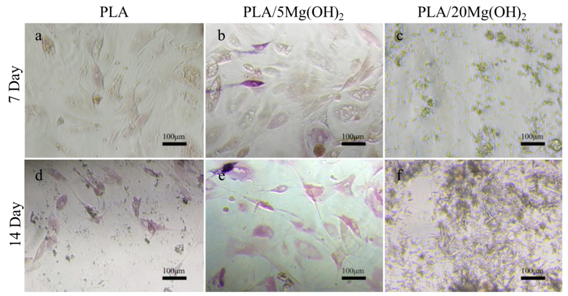 Polymers 16 00198 g011