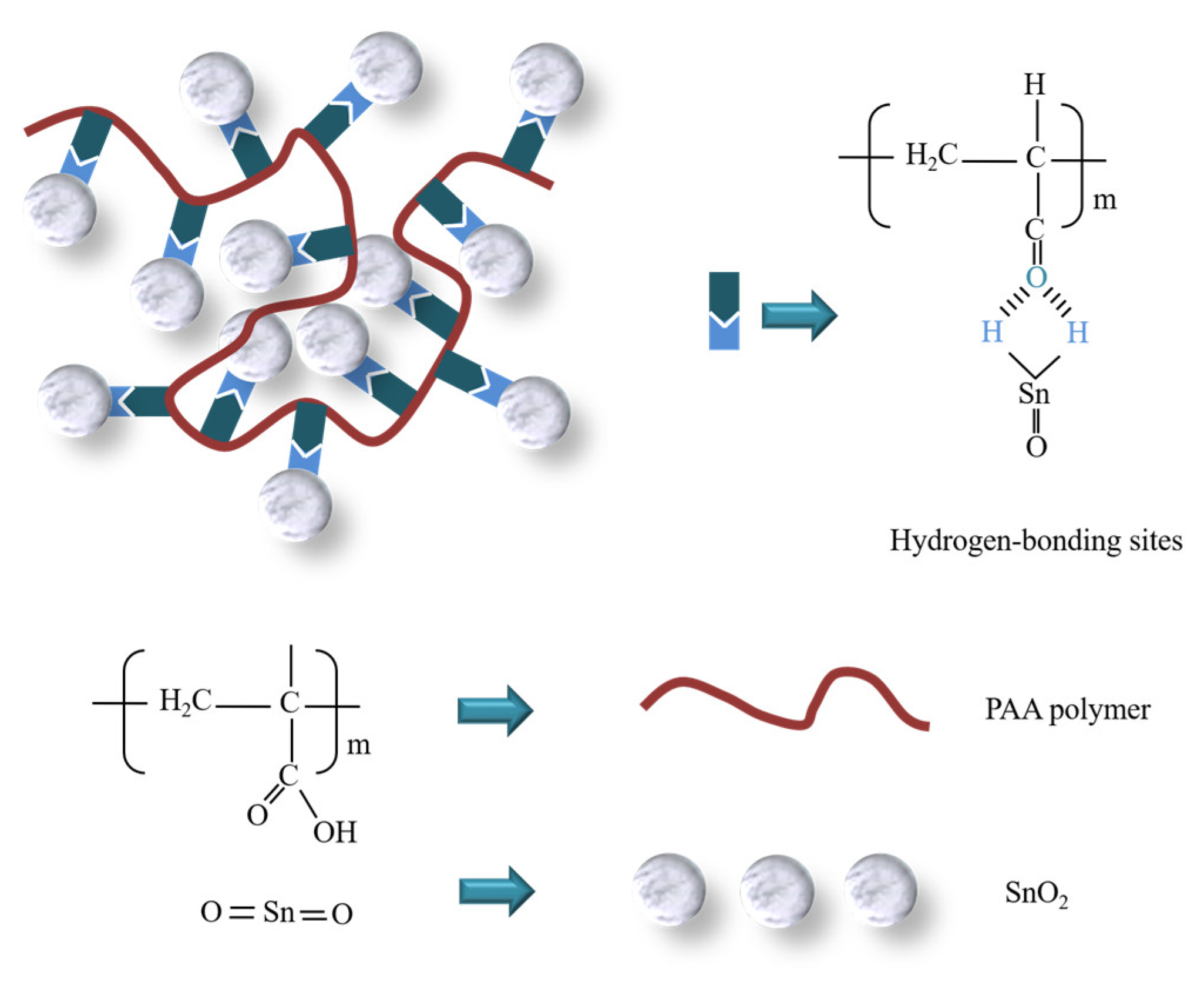 Polymers 16 00199 g005