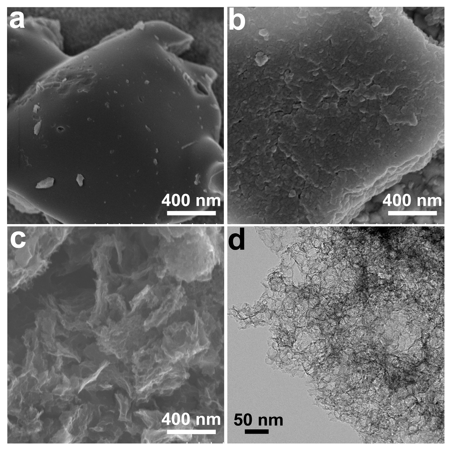 Polymers 16 00201 g002