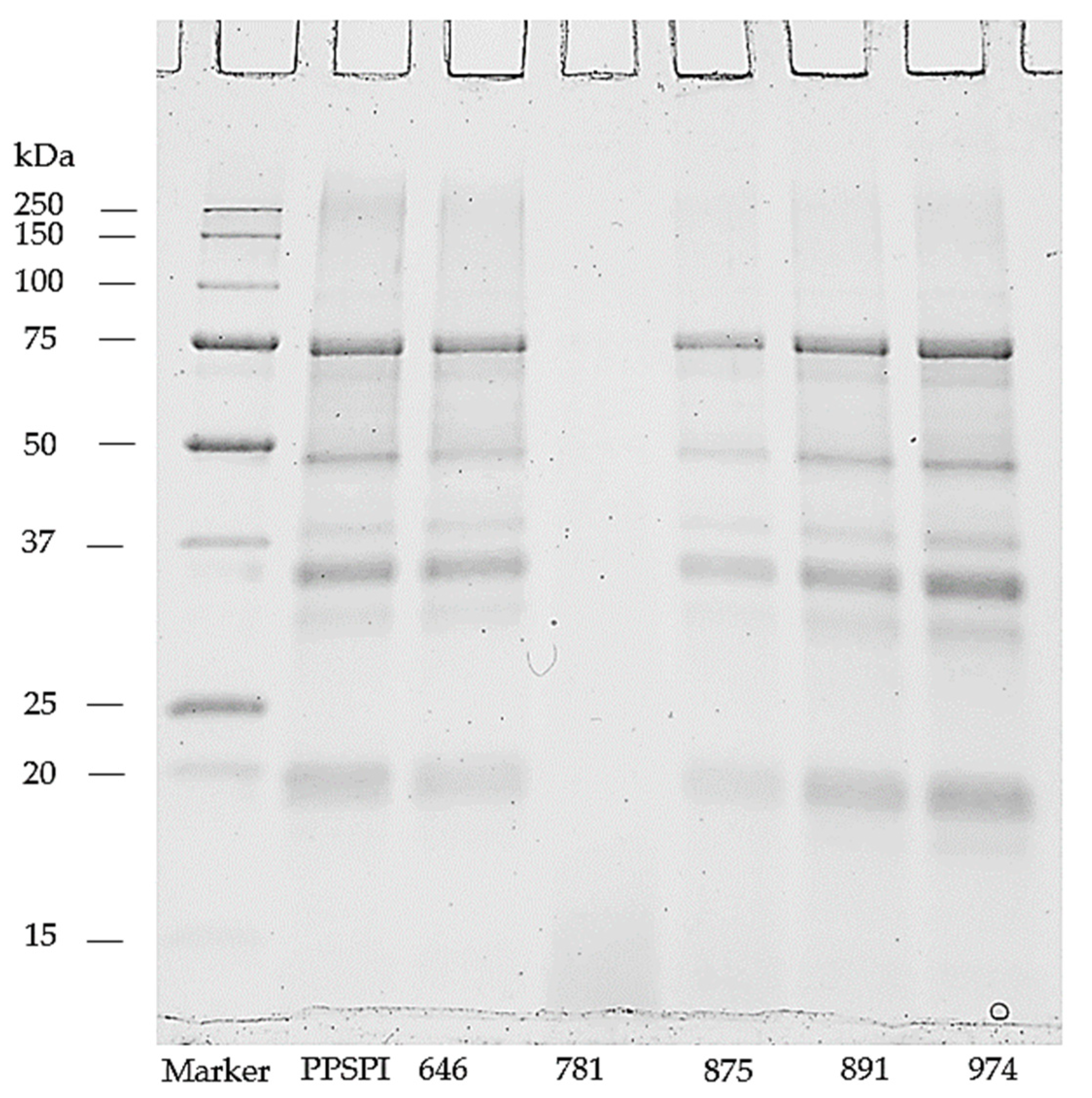 Polymers 16 00202 g003
