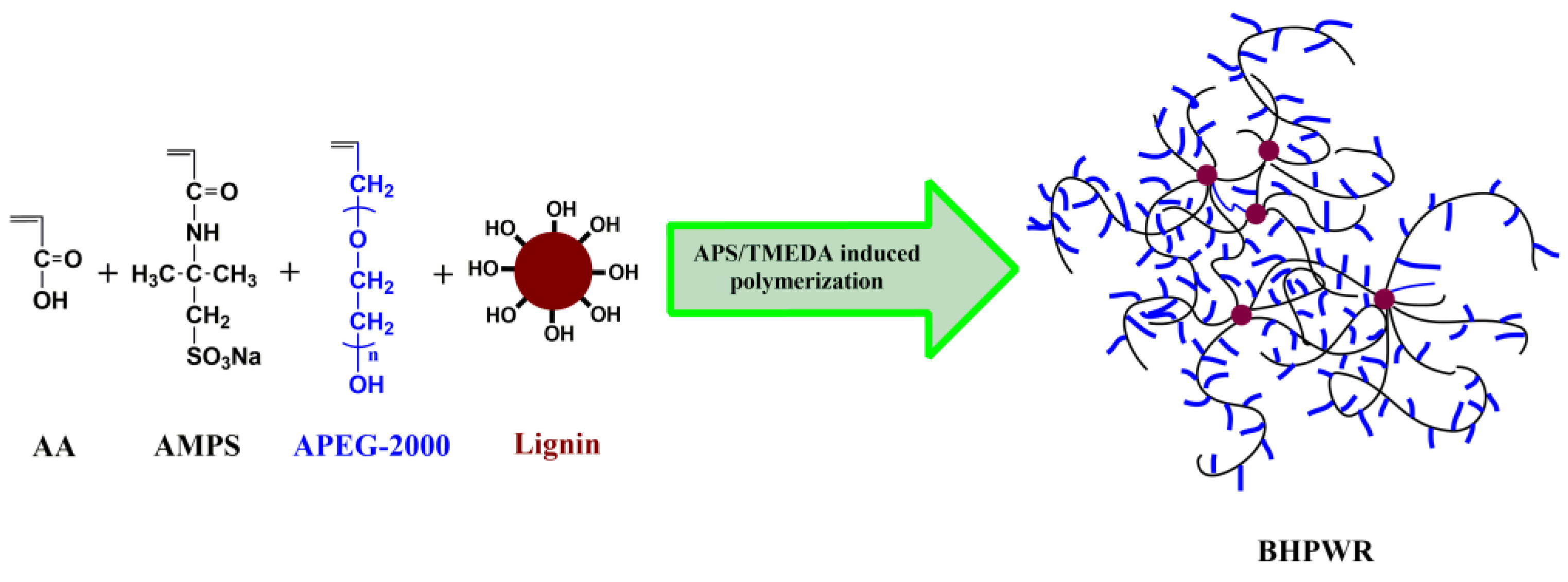Polymers 16 00204 g001