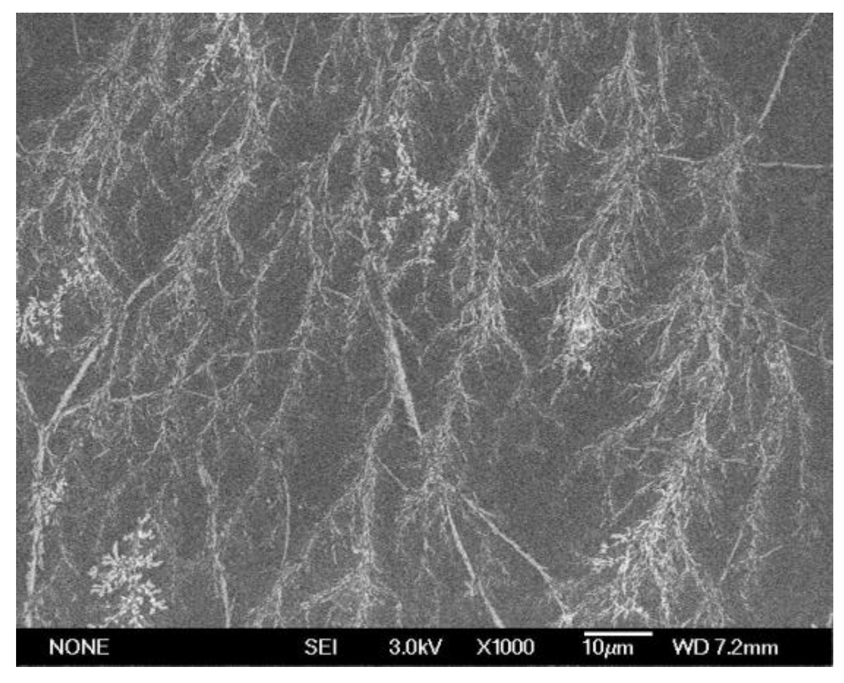 Polymers 16 00204 g005