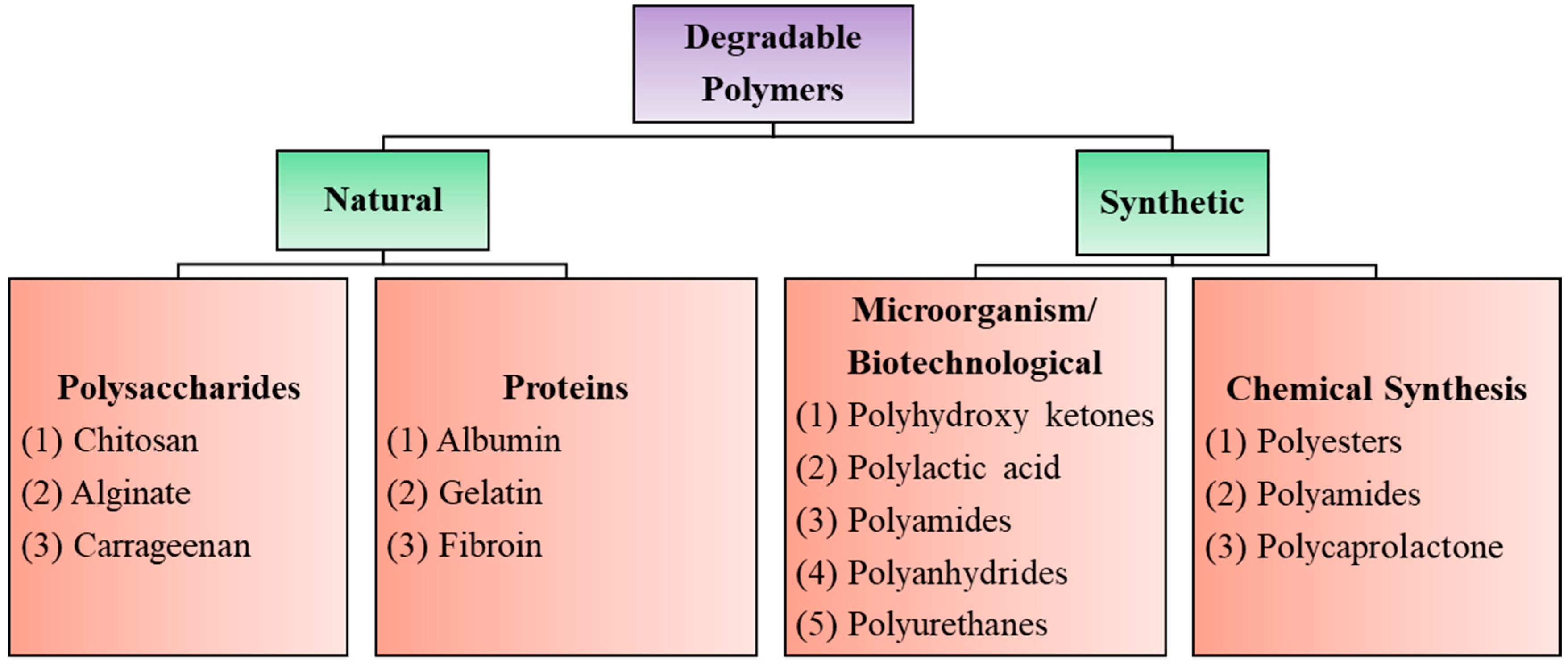 Polymers 16 00206 g001