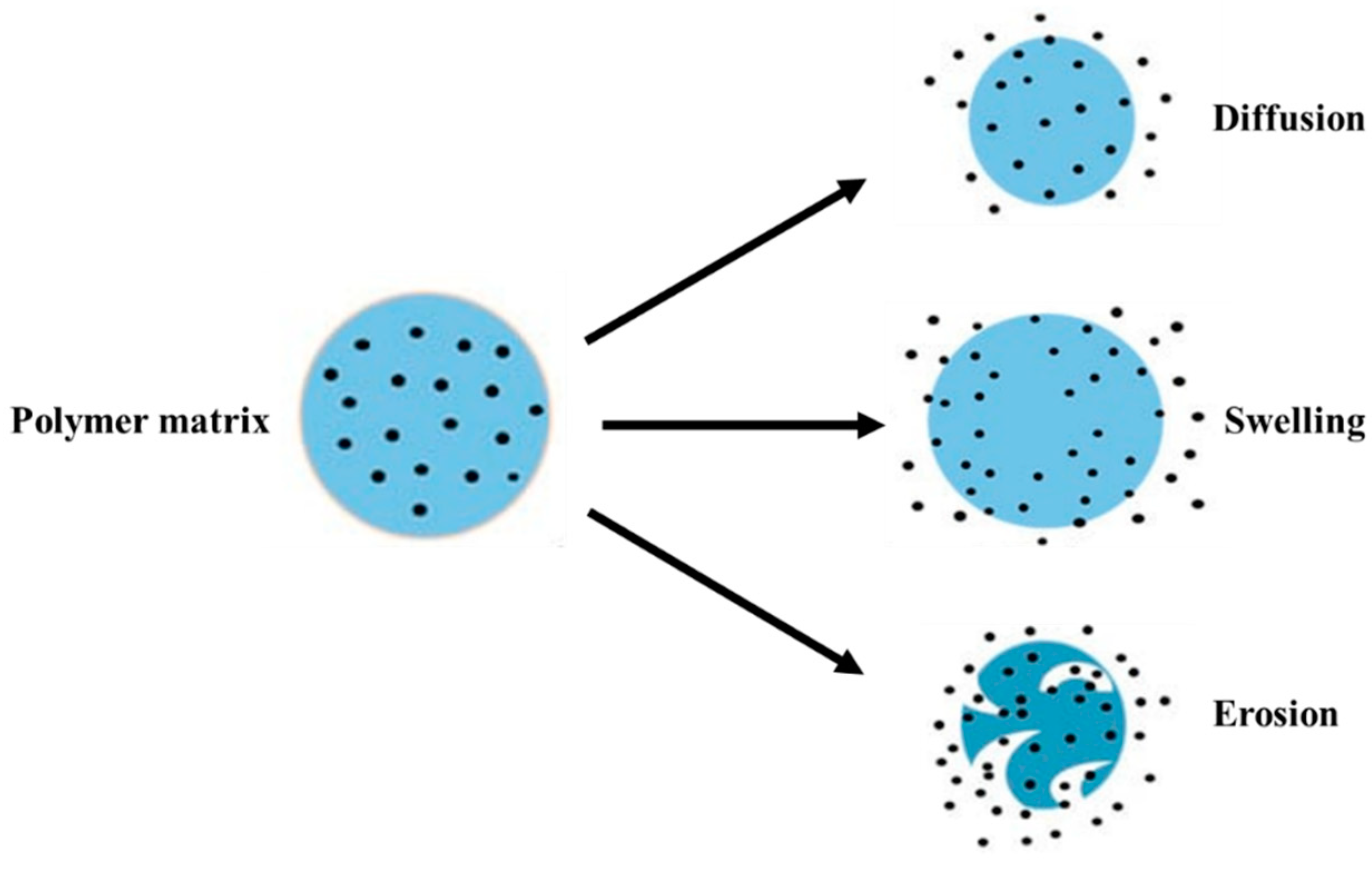 Polymers 16 00206 g009