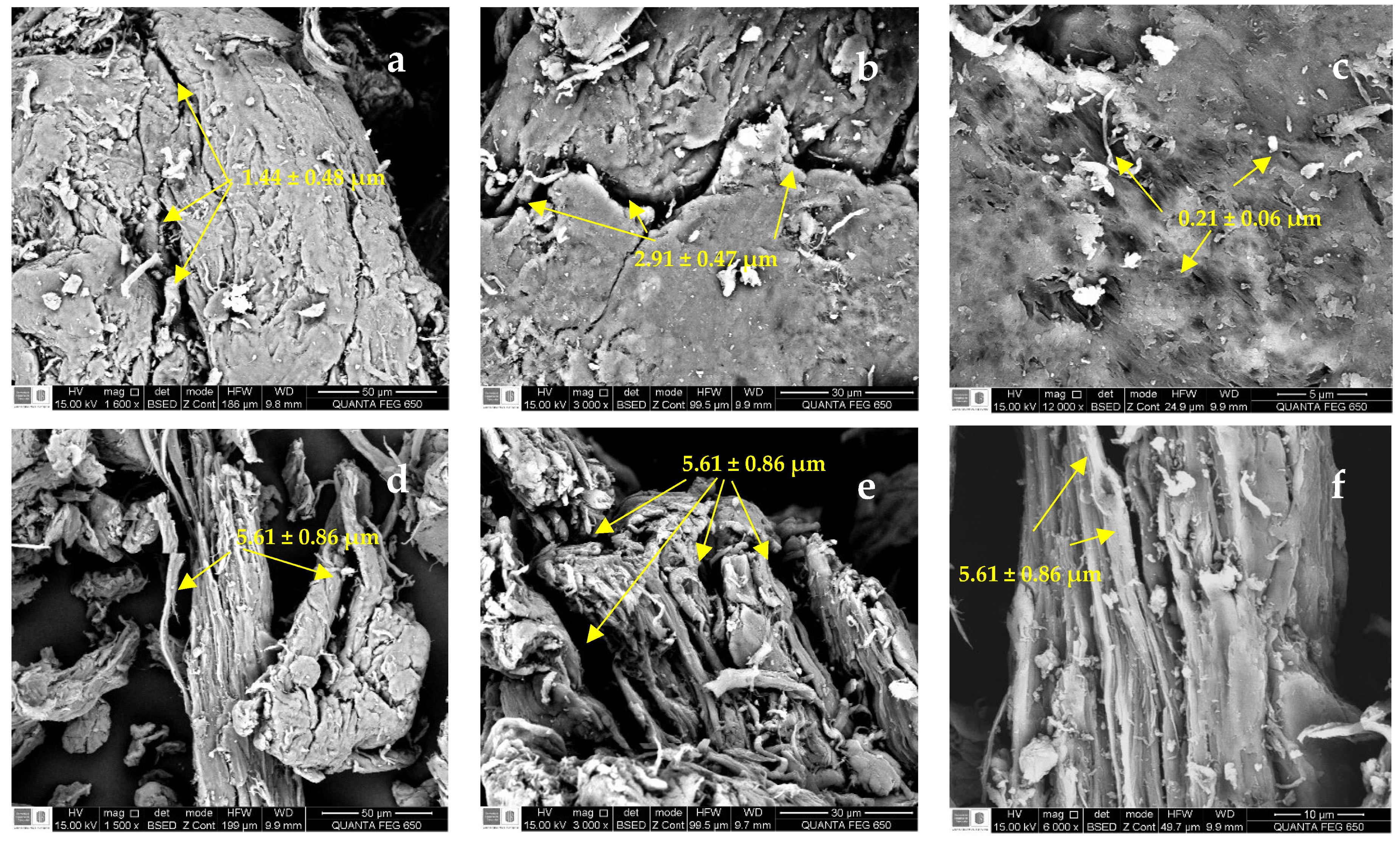 Polymers 16 00207 g005a