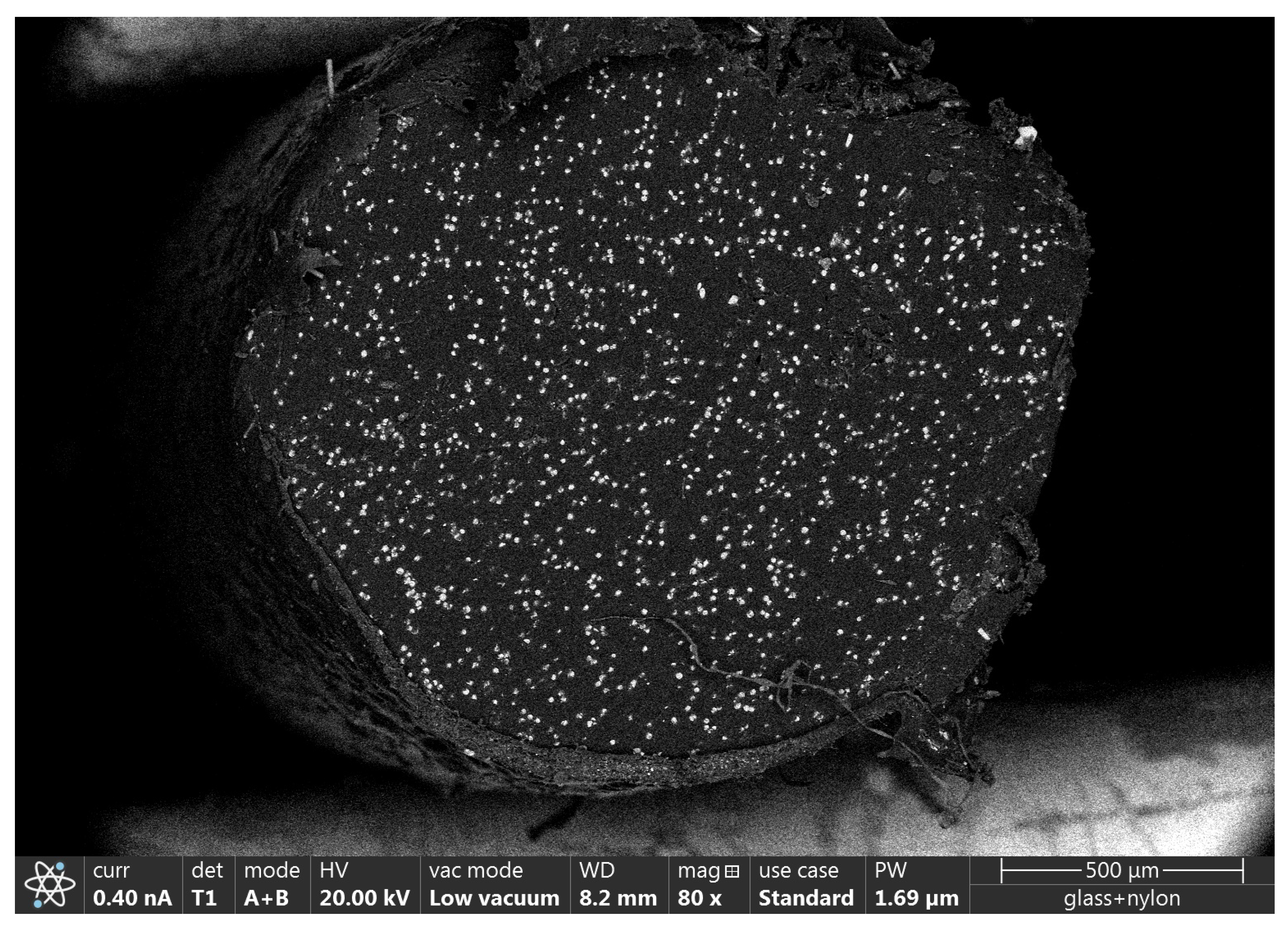 Polymers 16 00212 g006