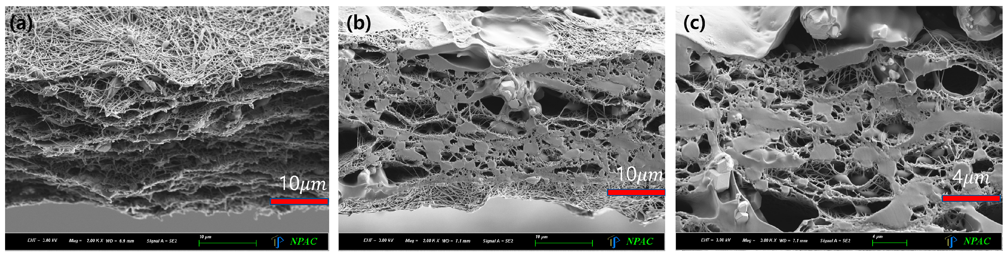 Polymers 16 00215 g011