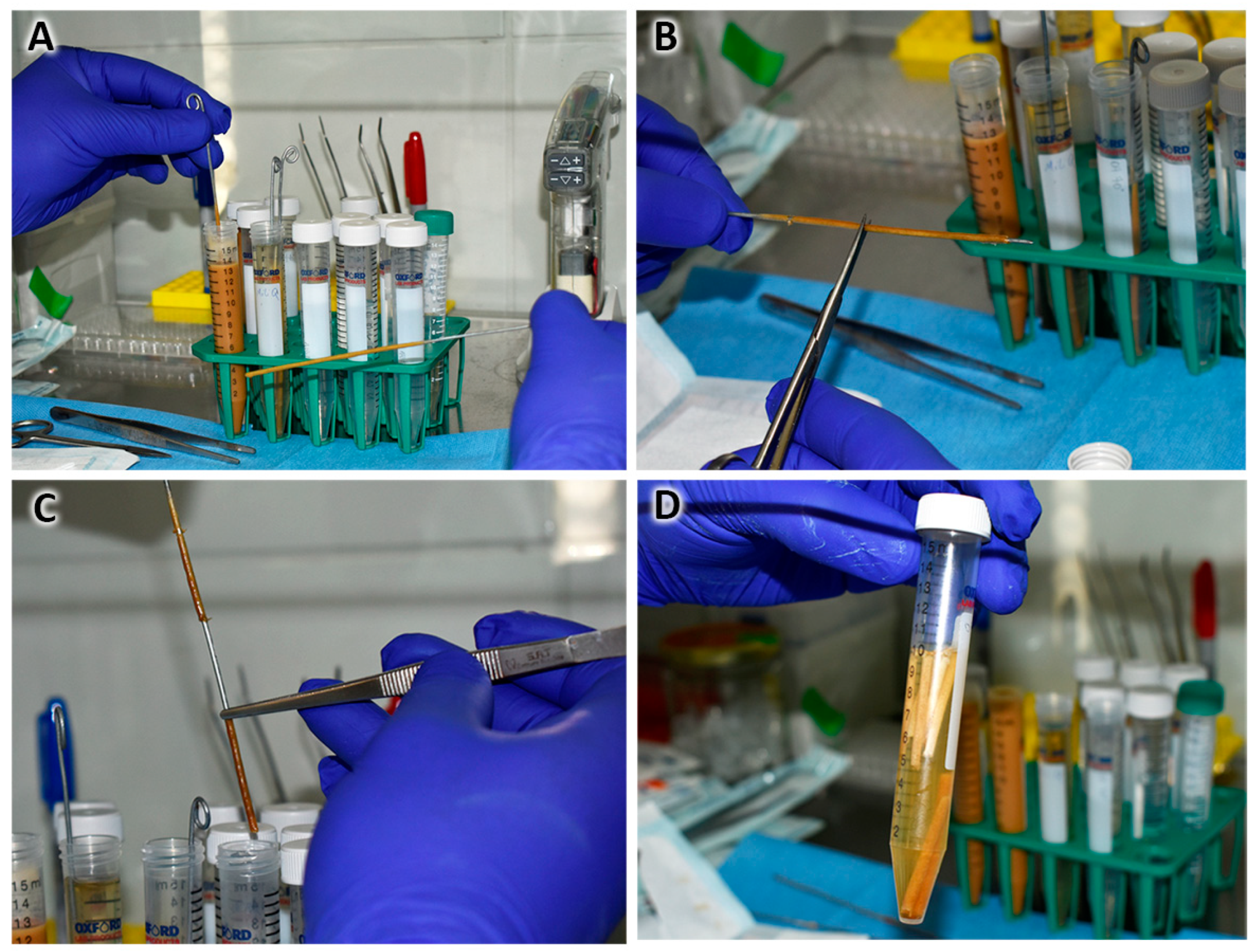 Polymers 16 00216 g001