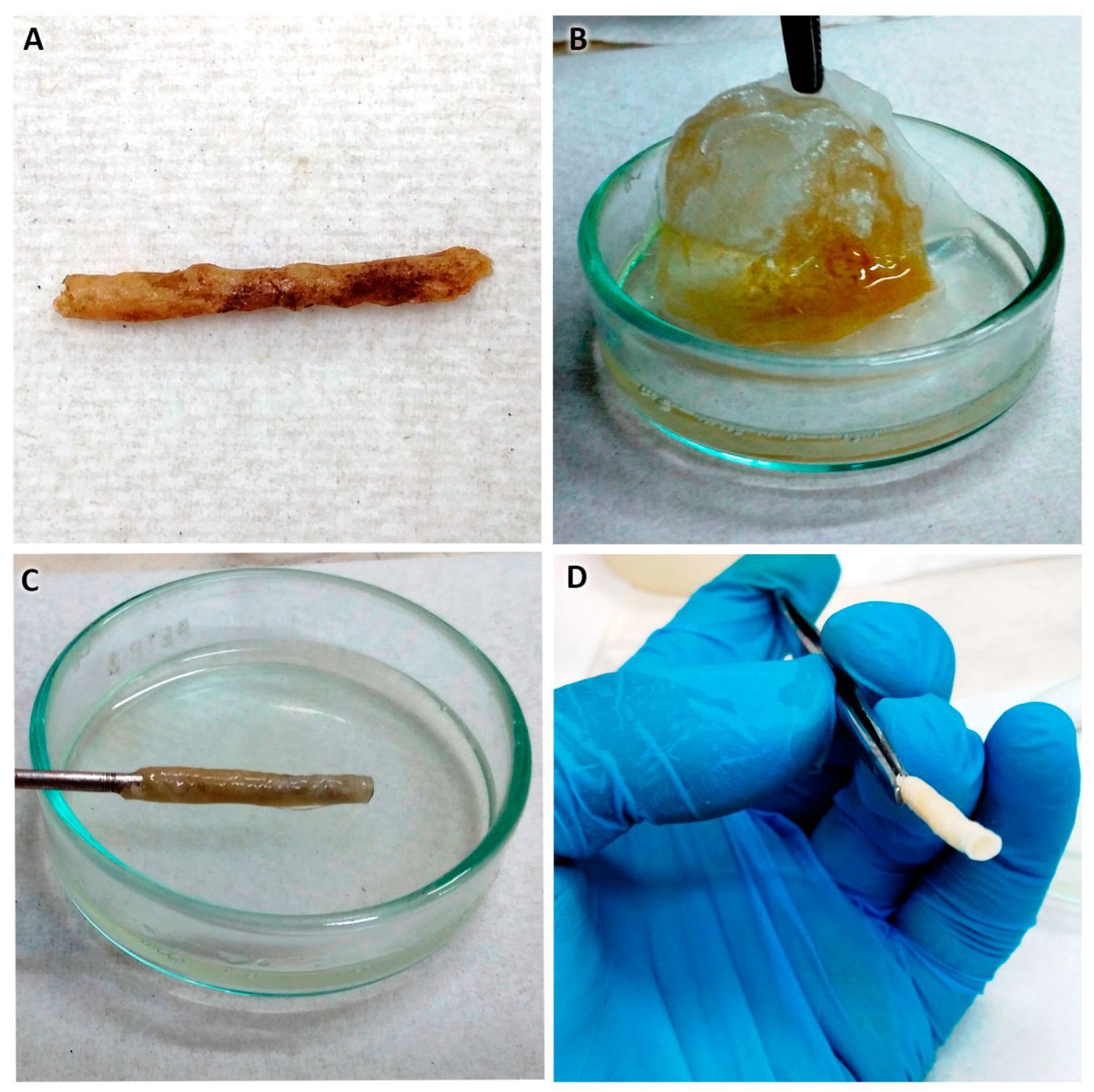 Polymers 16 00216 g006