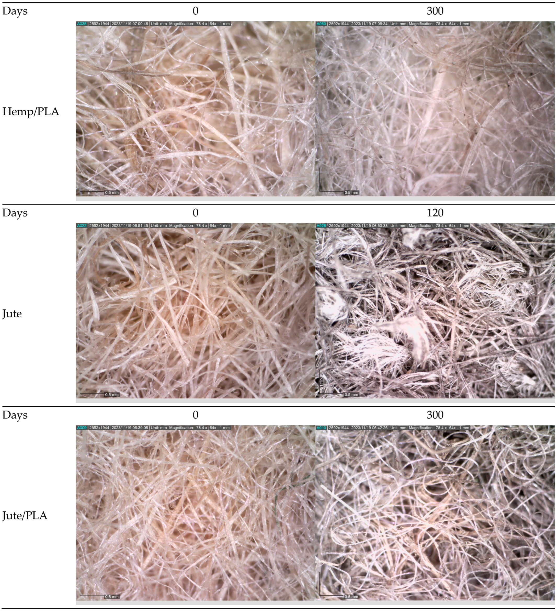 Polymers 16 00222 g004b