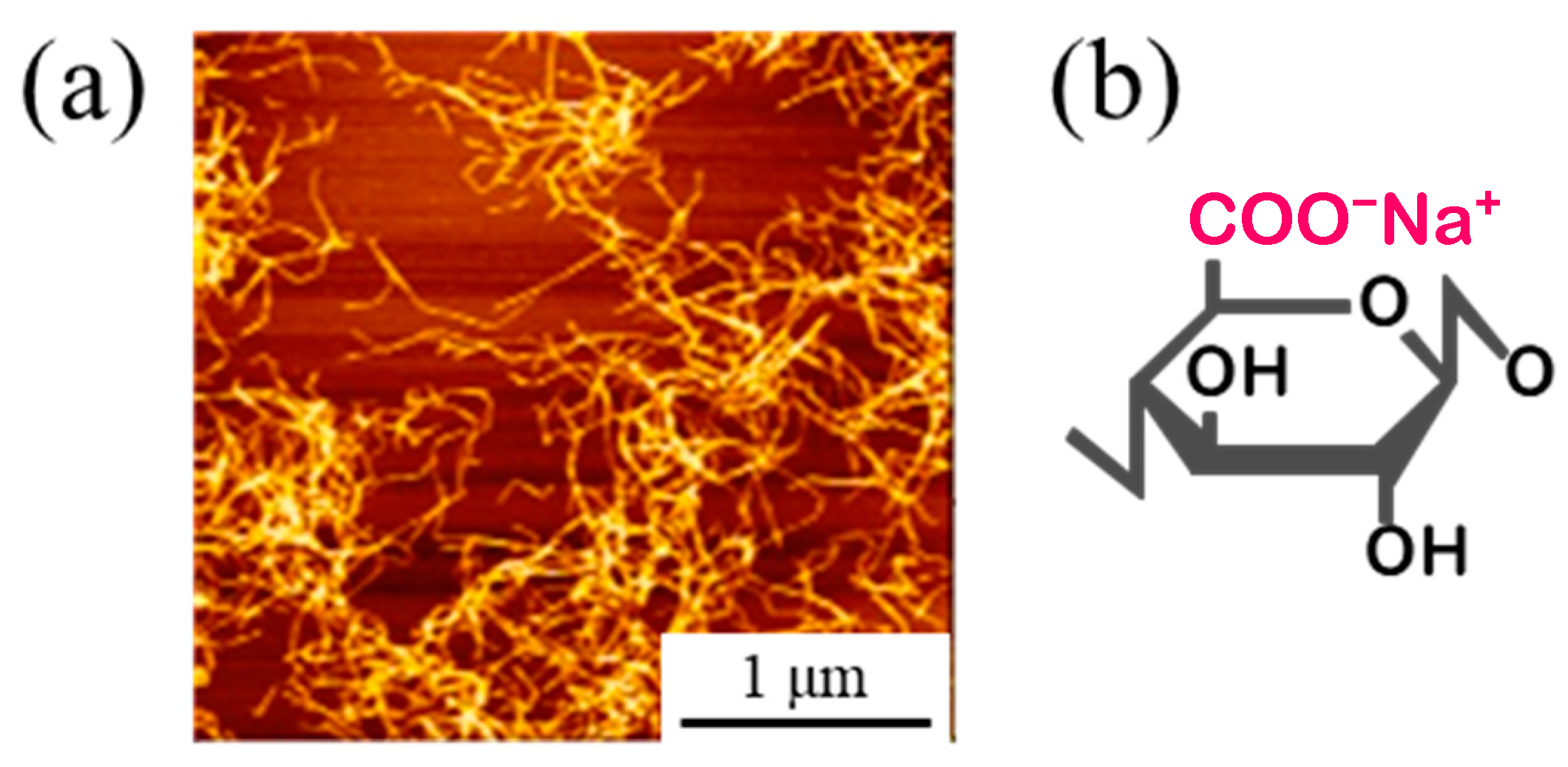 Polymers 16 00224 g001 Polymers 16 00224 g001