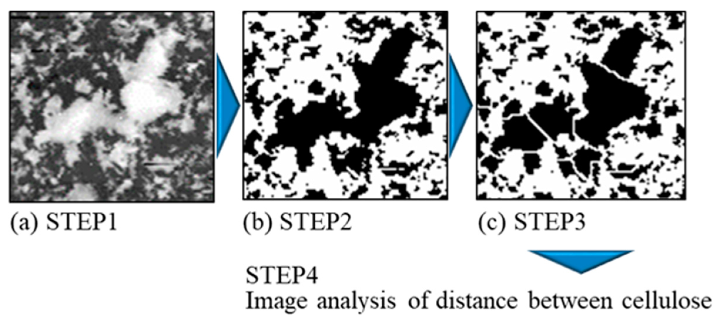 Polymers 16 00224 g004 Polymers 16 00224 g004