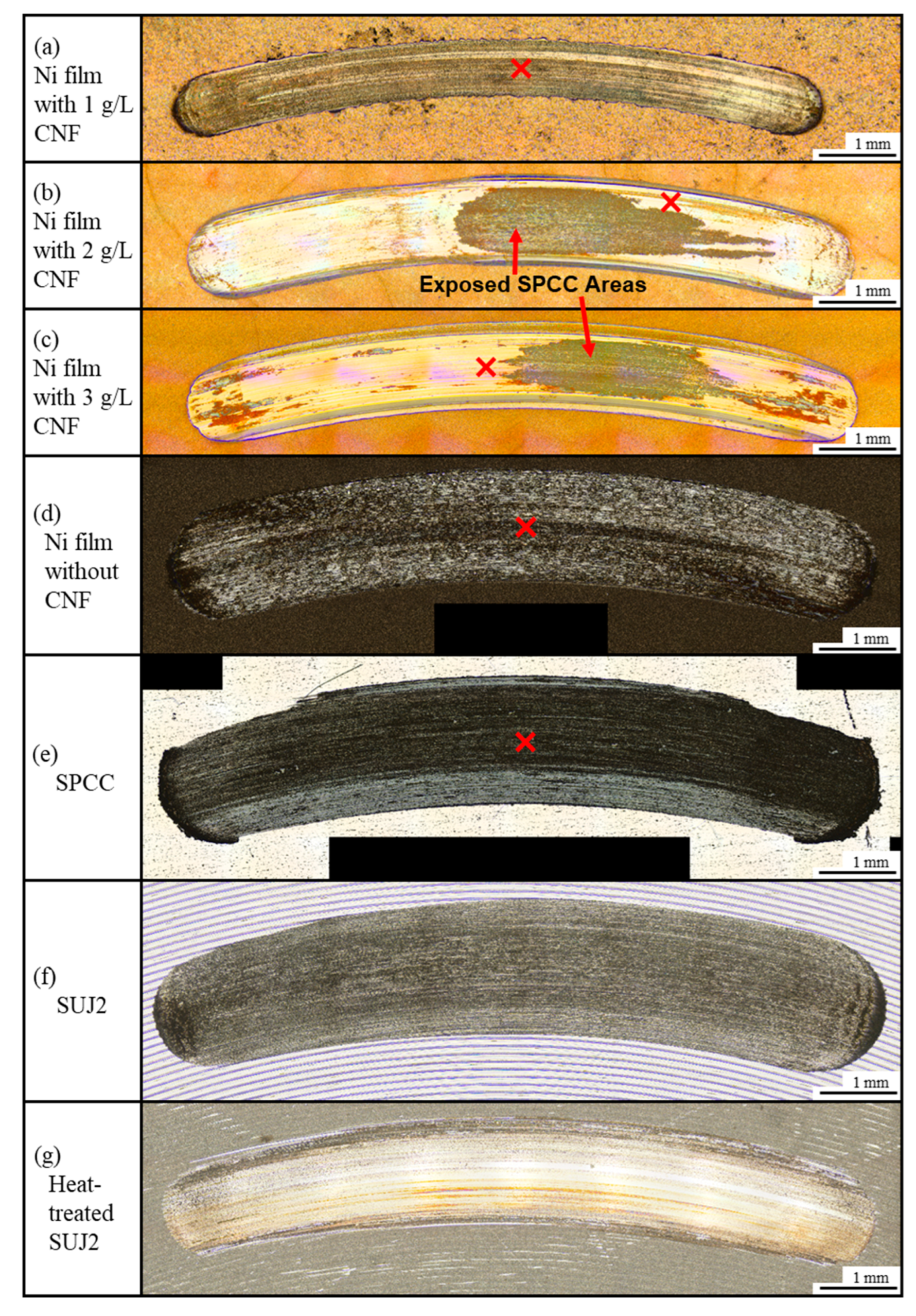 Polymers 16 00224 g011 Polymers 16 00224 g011