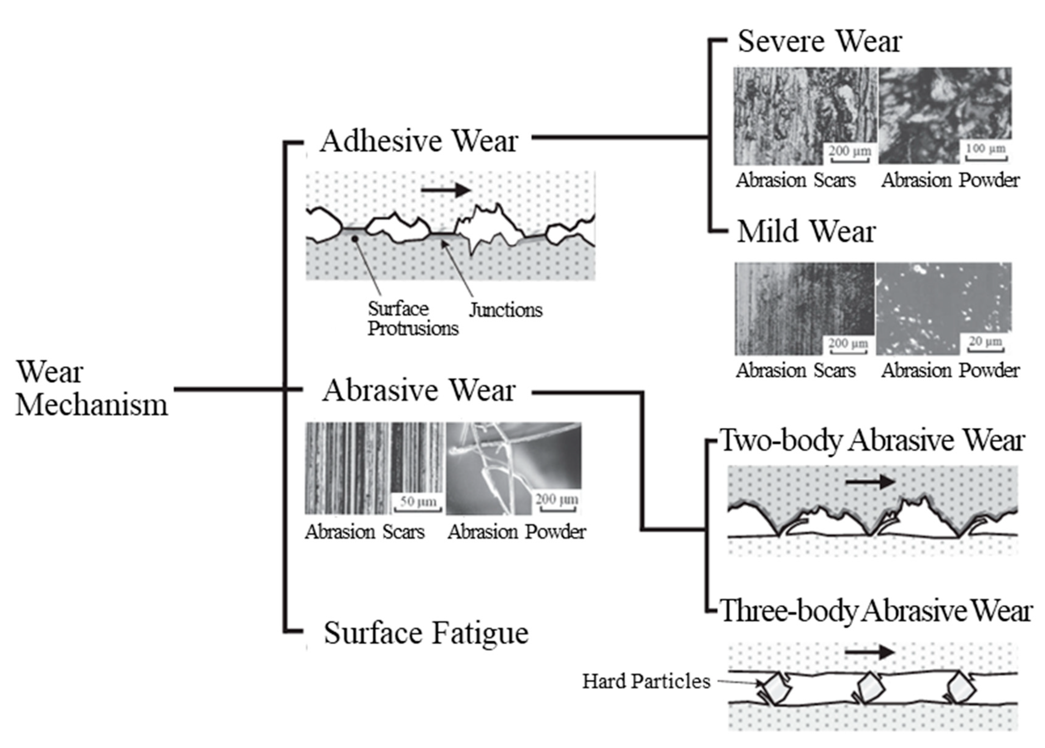 Polymers 16 00224 g016 Polymers 16 00224 g016