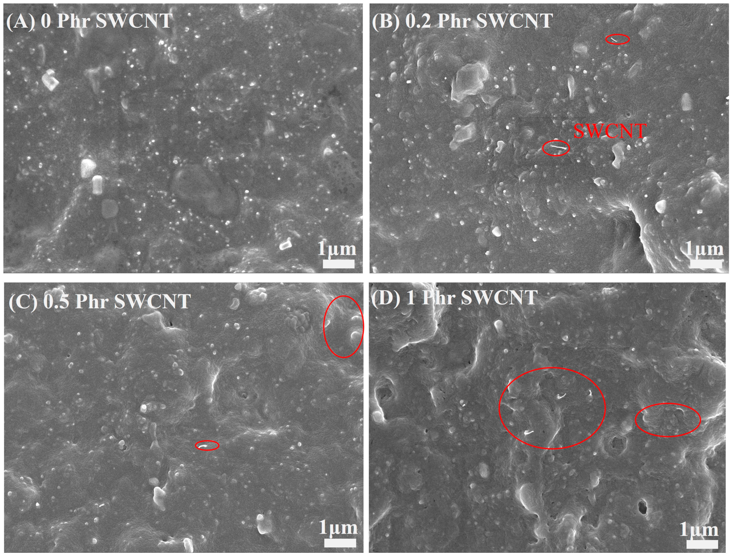 Polymers 16 00226 g006