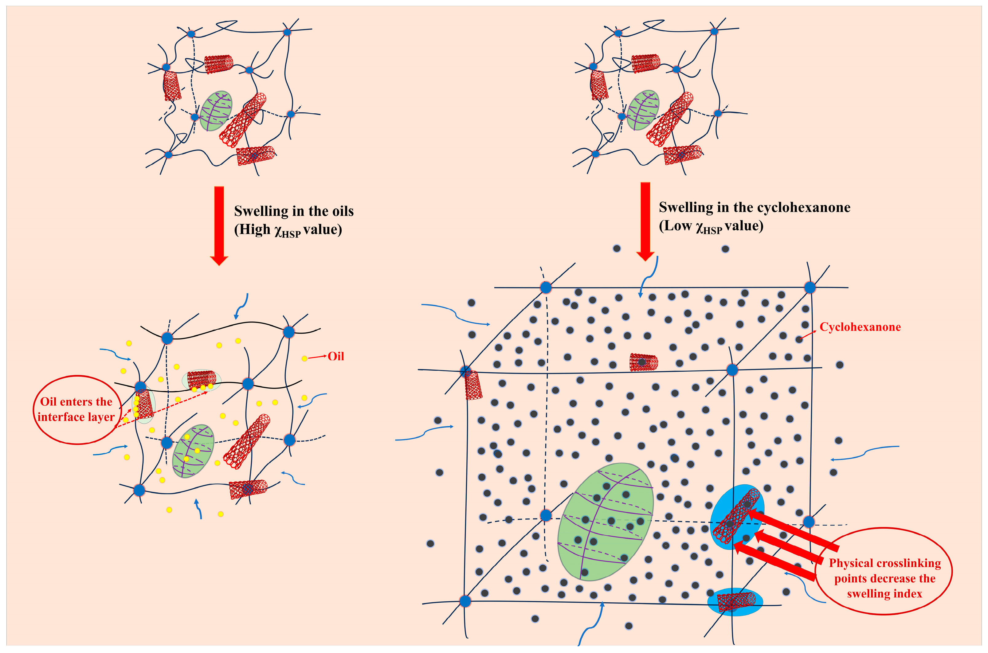 Polymers 16 00226 g014