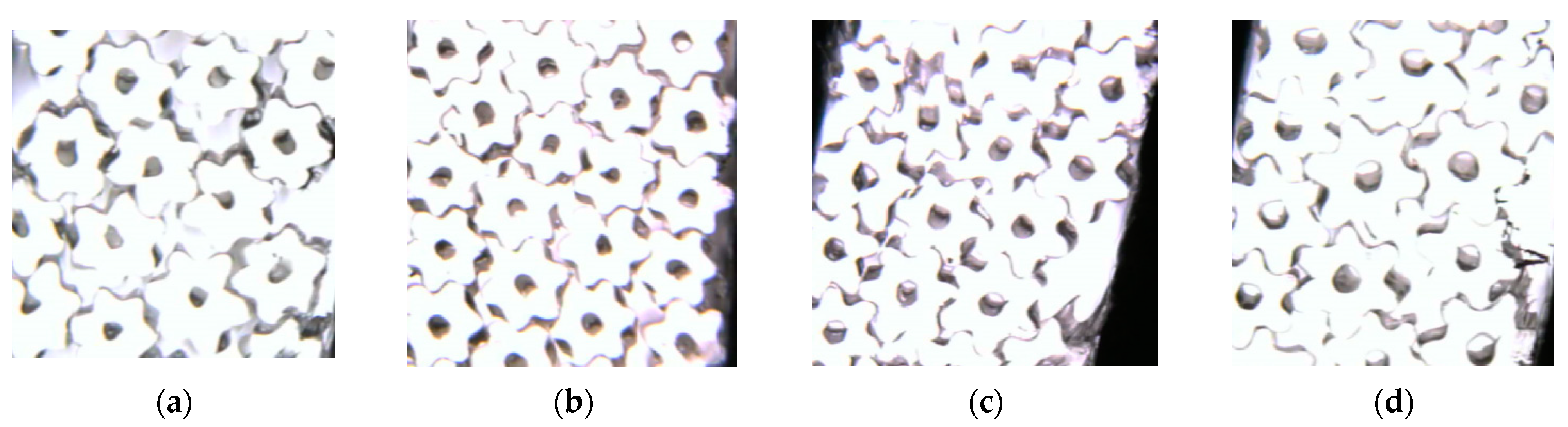 Polymers 16 00228 g010