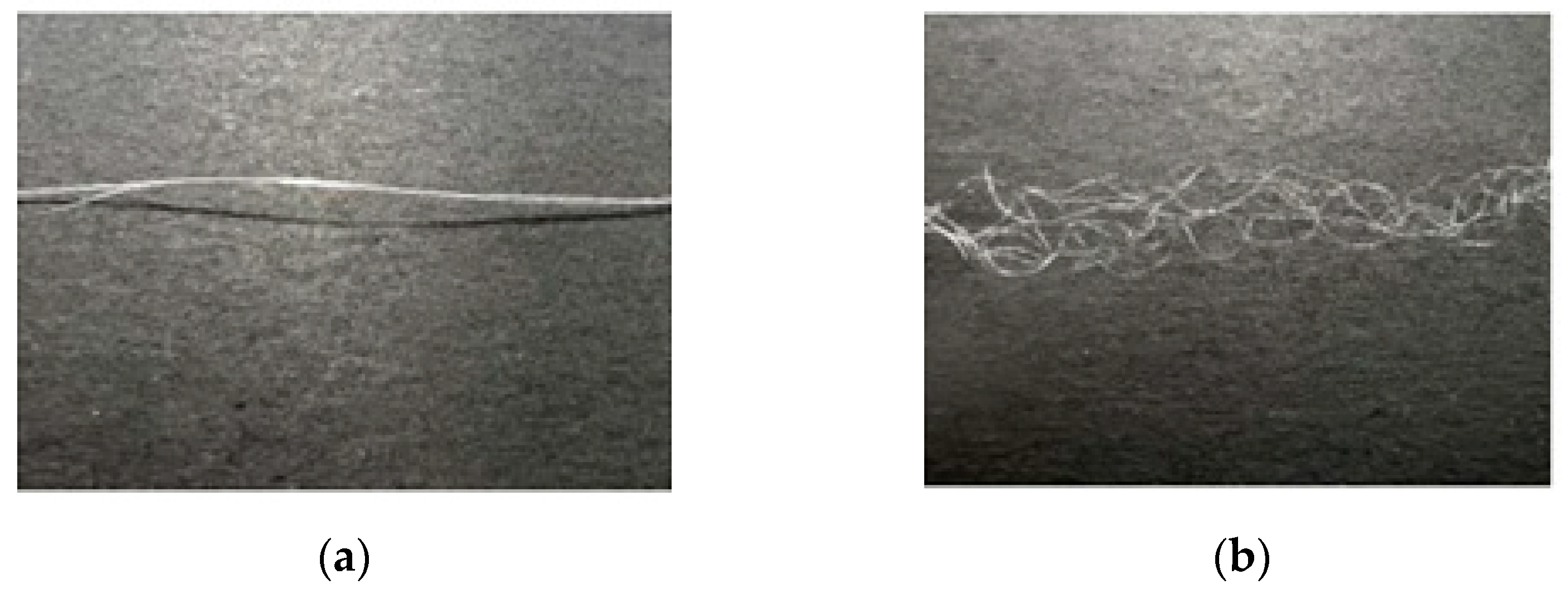 Polymers 16 00228 g019