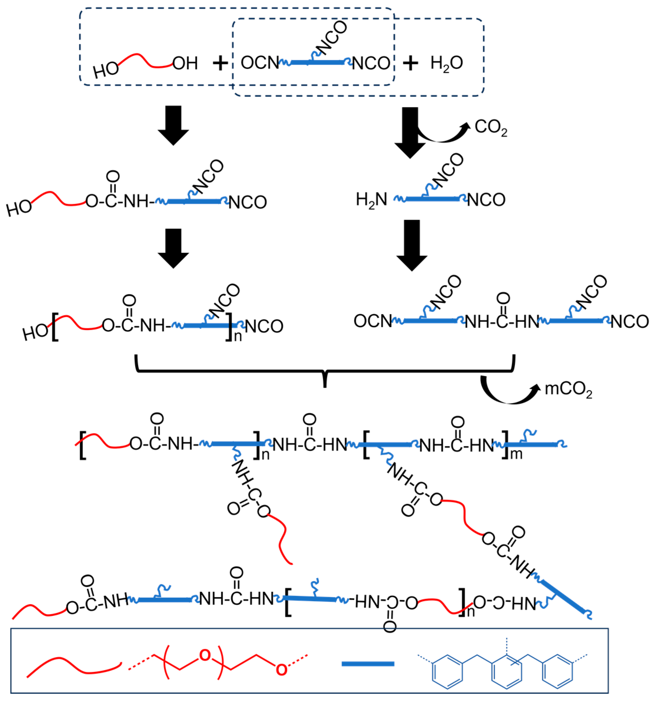 Polymers 16 00229 sch001 Polymers 16 00229 sch001