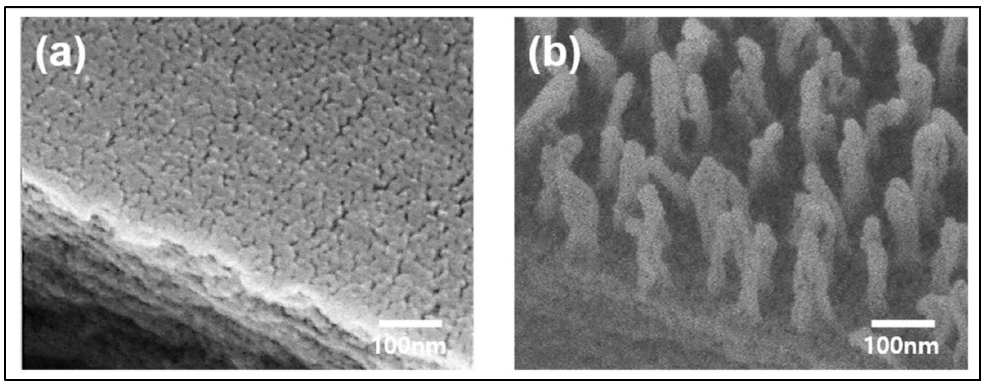 Polymers 16 00230 g004