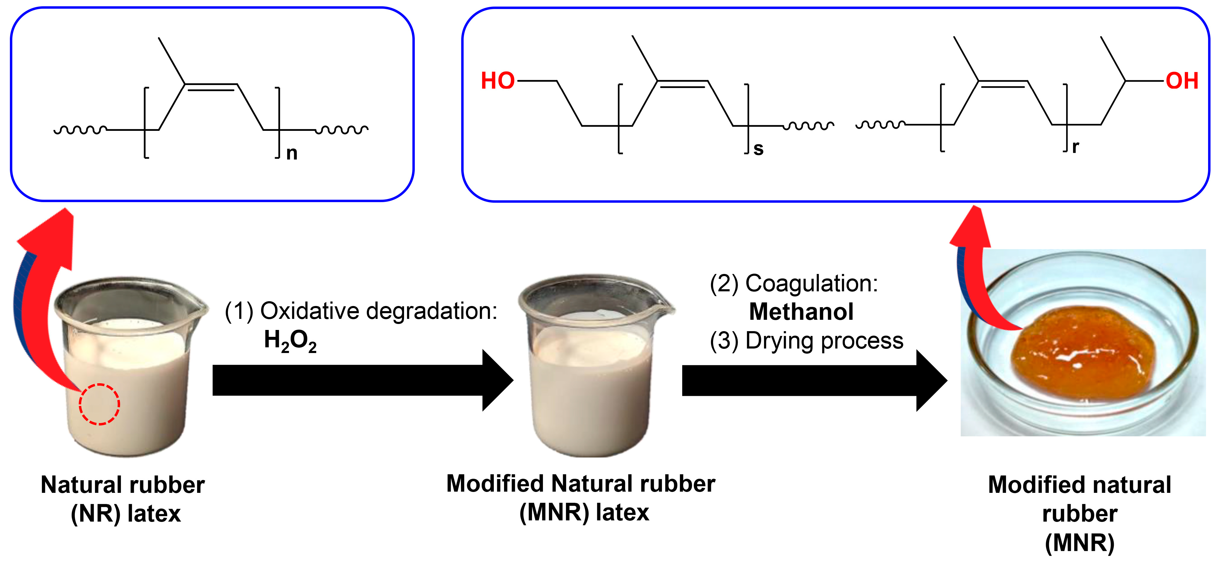 Polymers 16 00232 g001