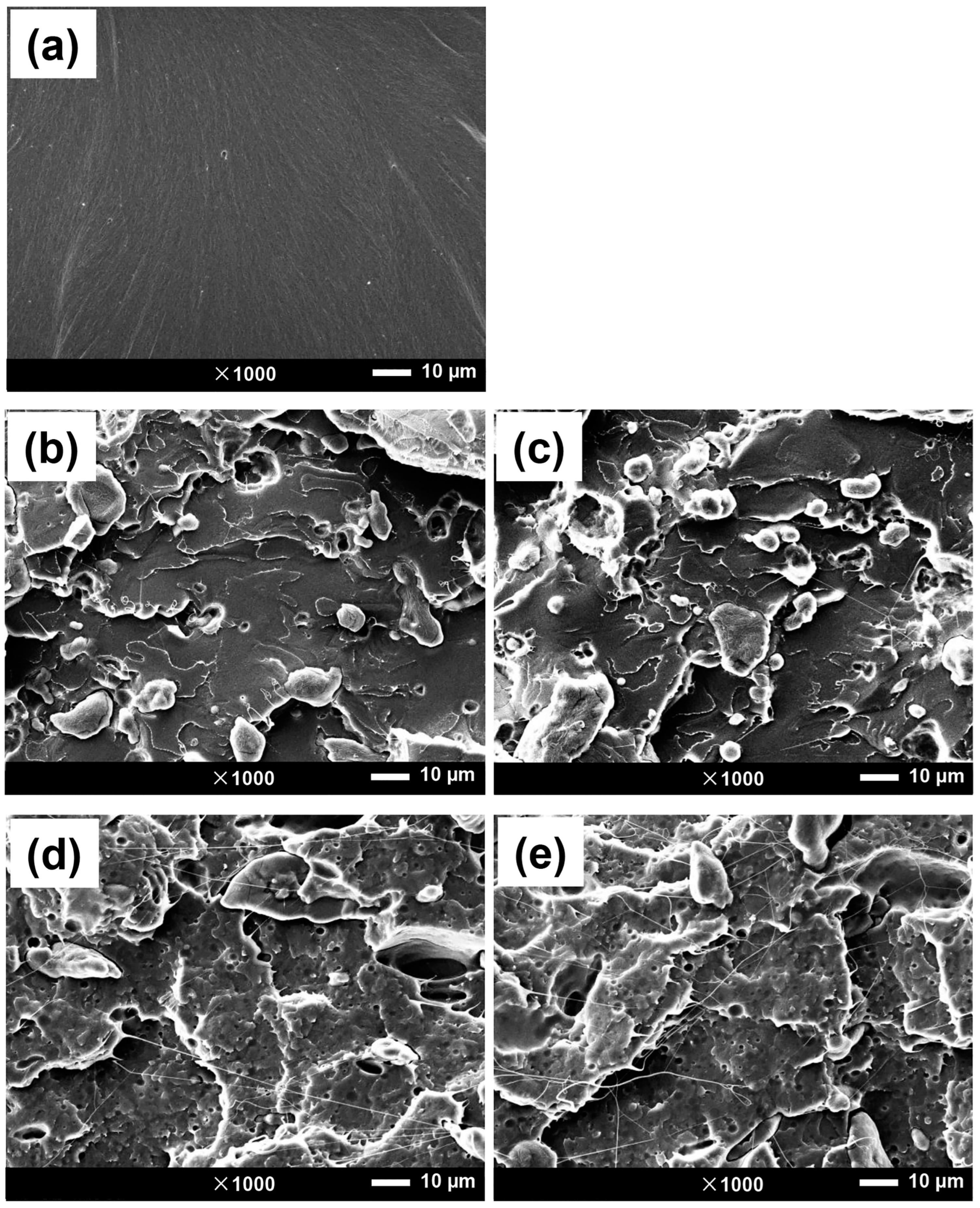 Polymers 16 00232 g007