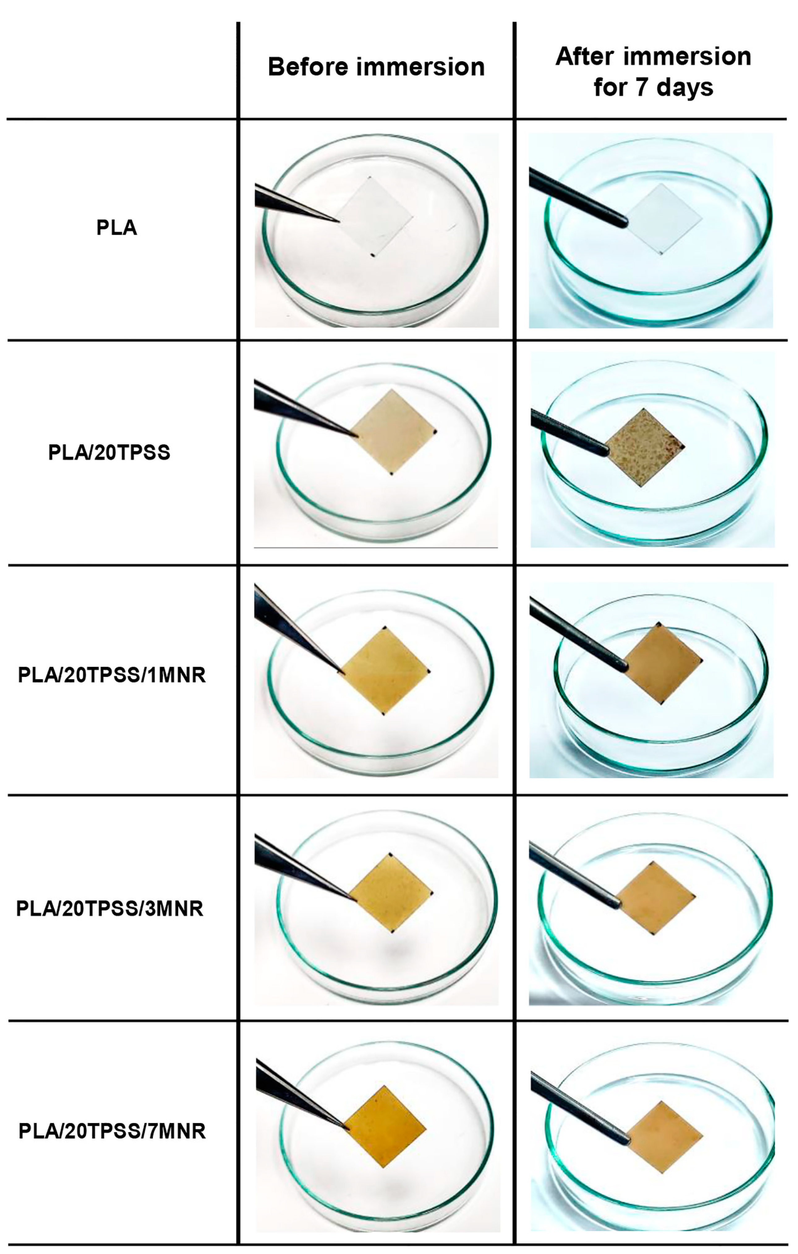Polymers 16 00232 g012