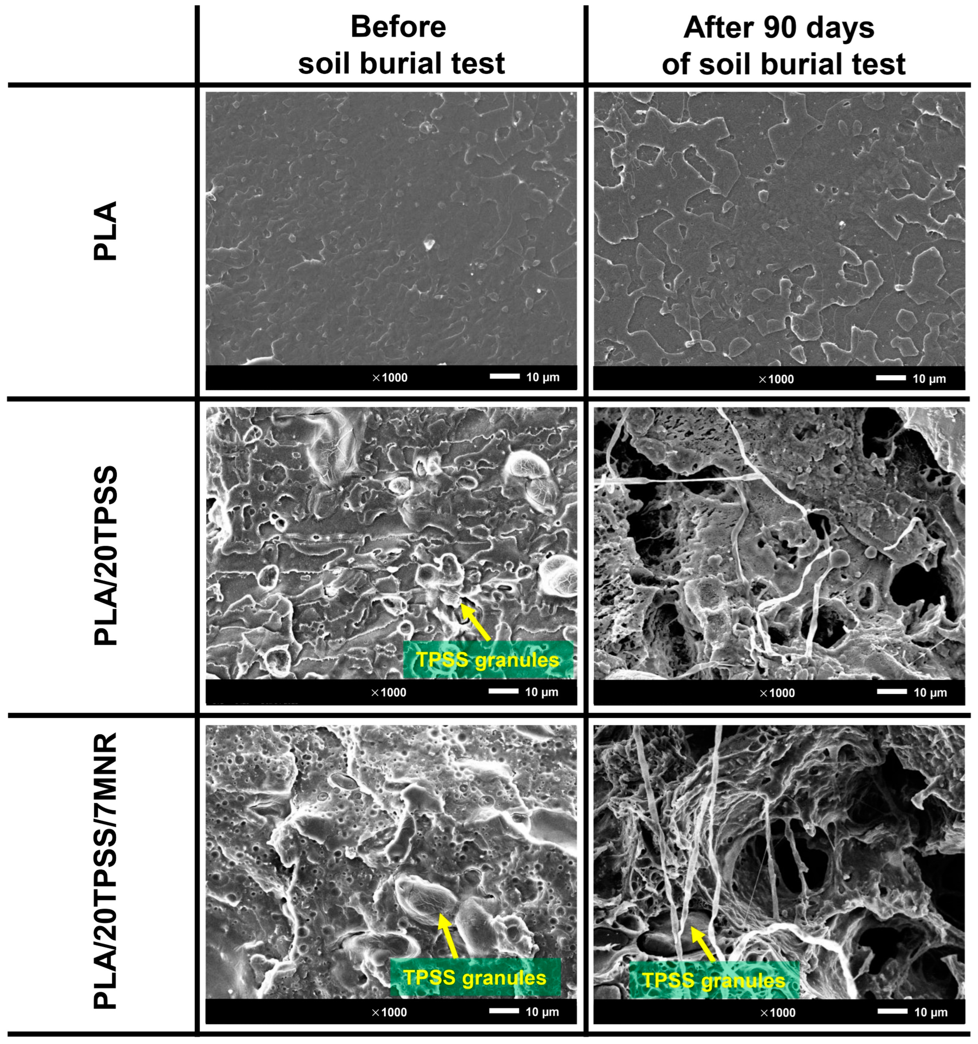 Polymers 16 00232 g014