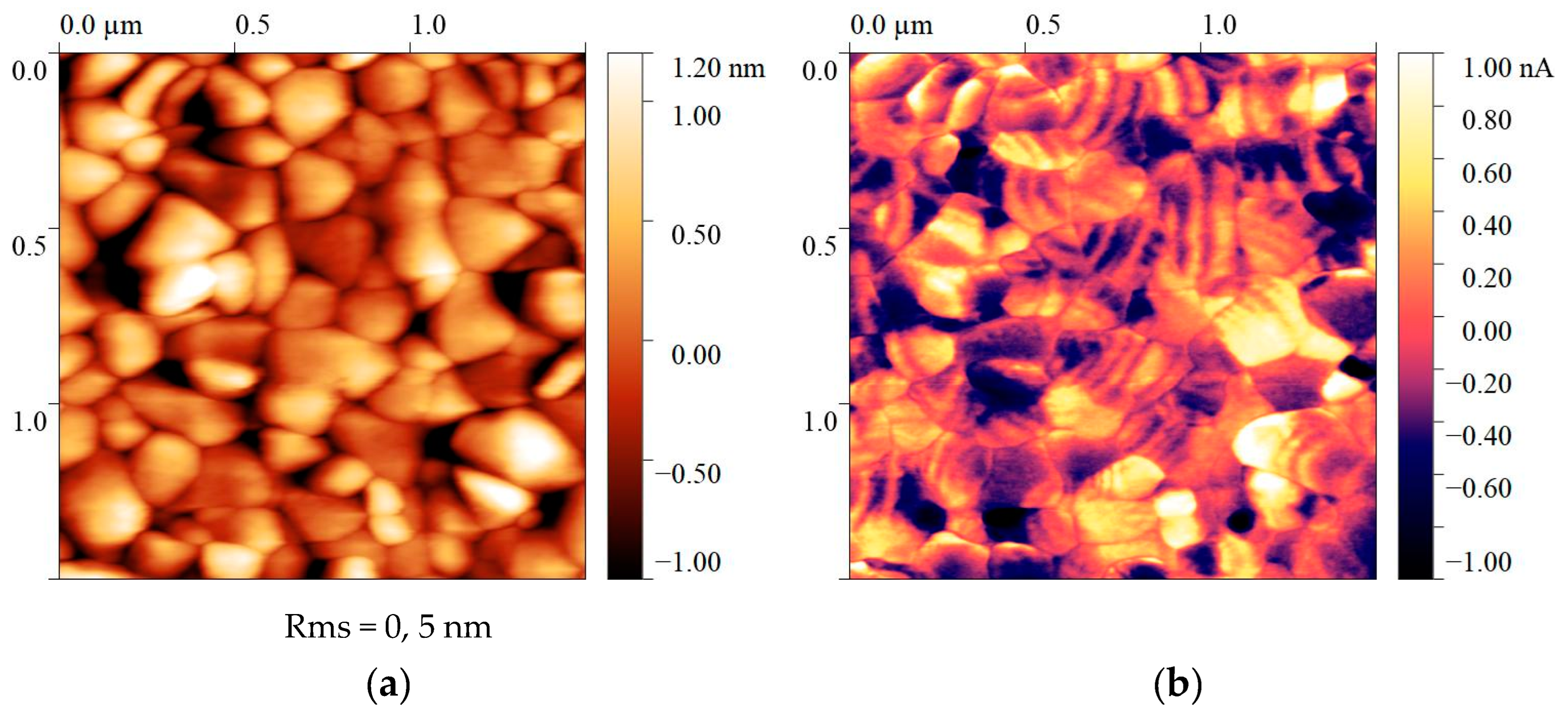 Polymers 16 00233 g008