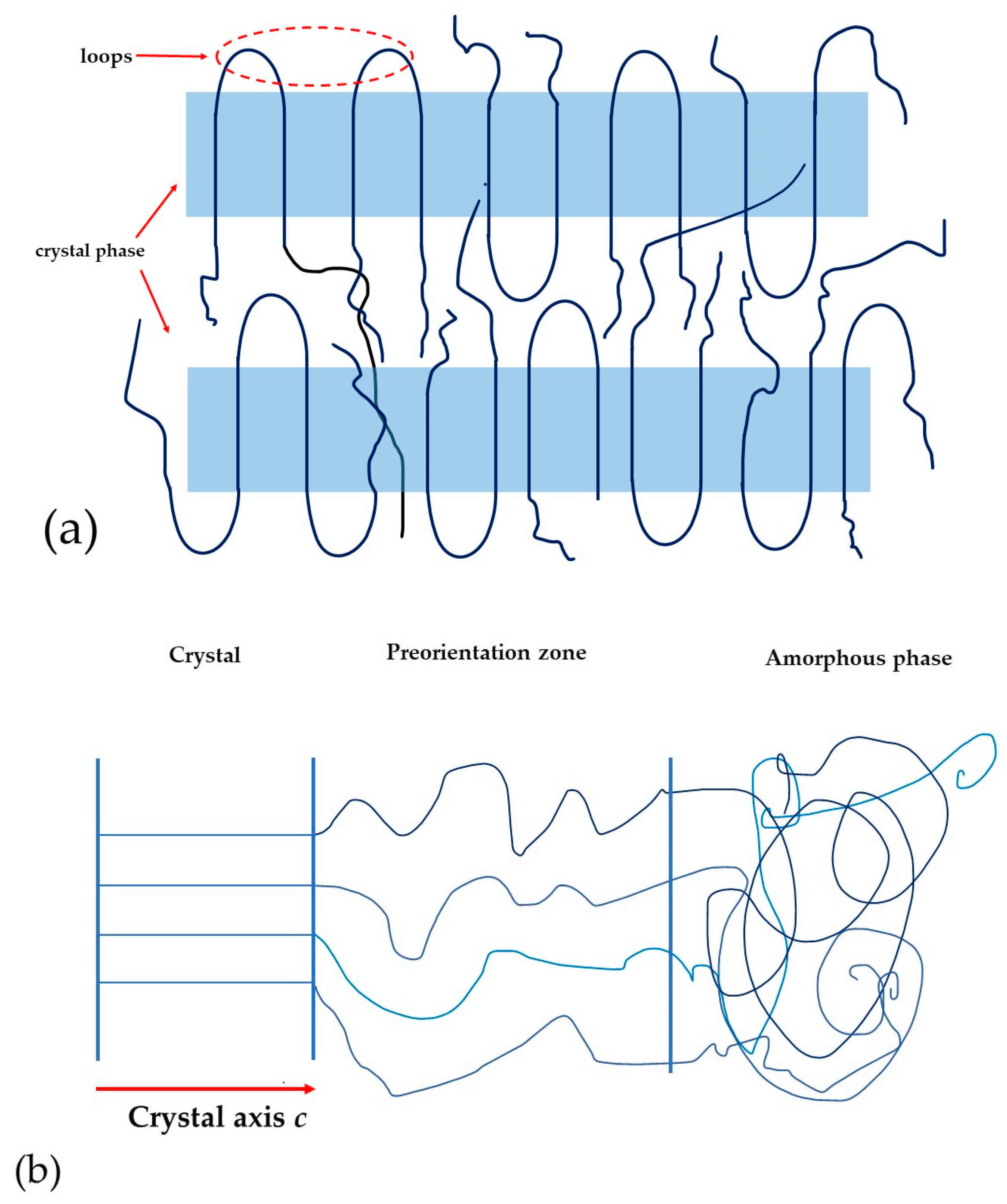 Polymers 16 00233 g009
