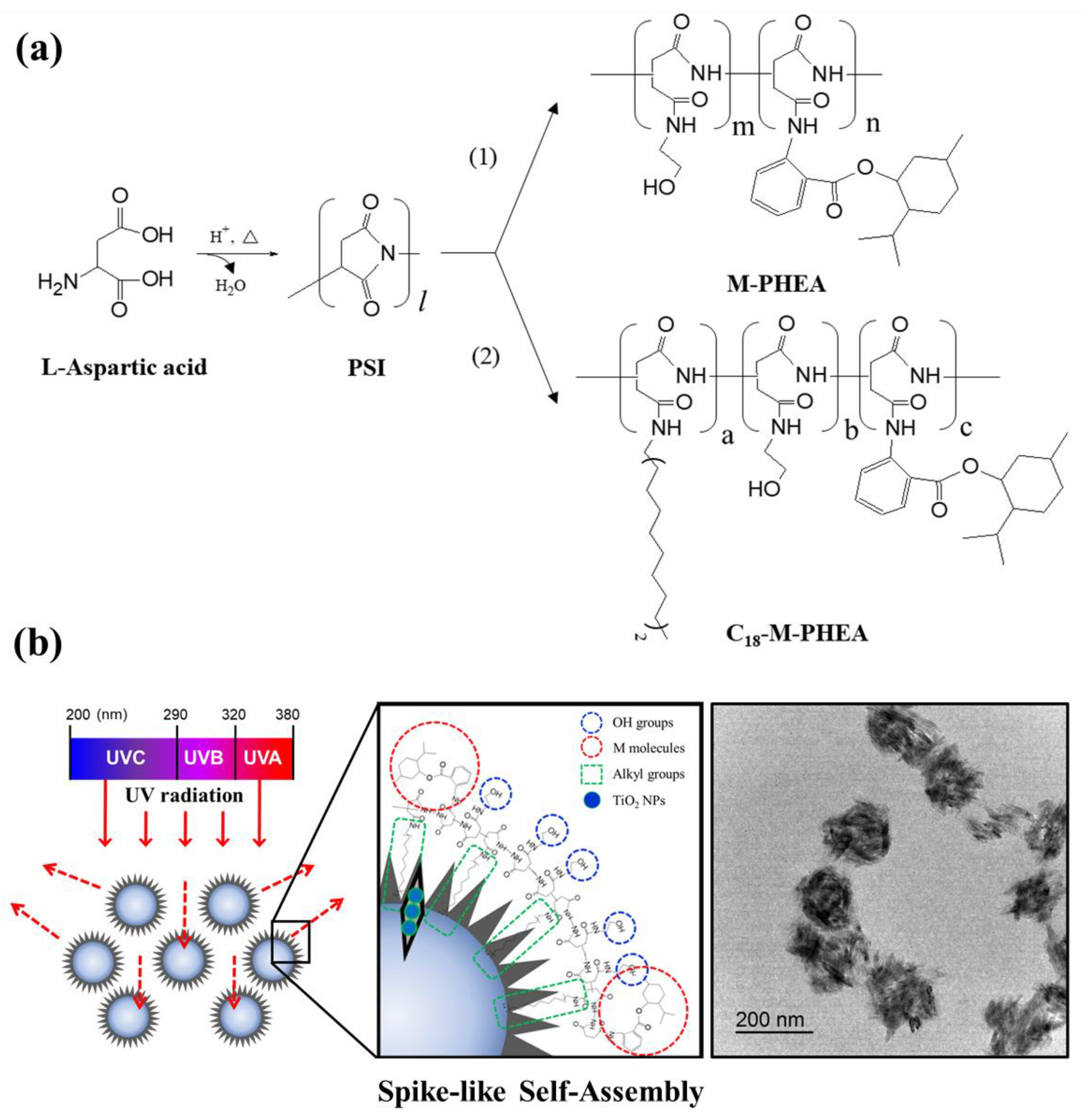 Polymers 16 00234 g001 Polymers 16 00234 g001