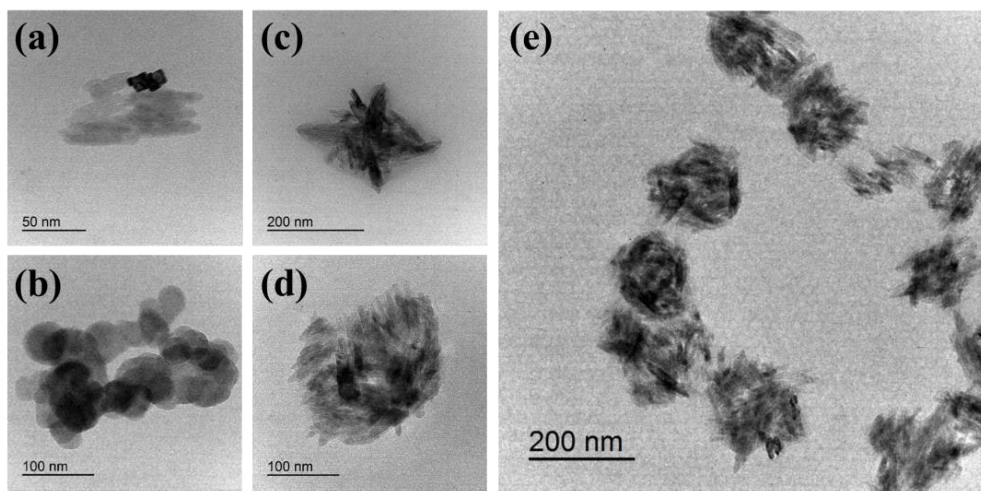 Polymers 16 00234 g005 Polymers 16 00234 g005