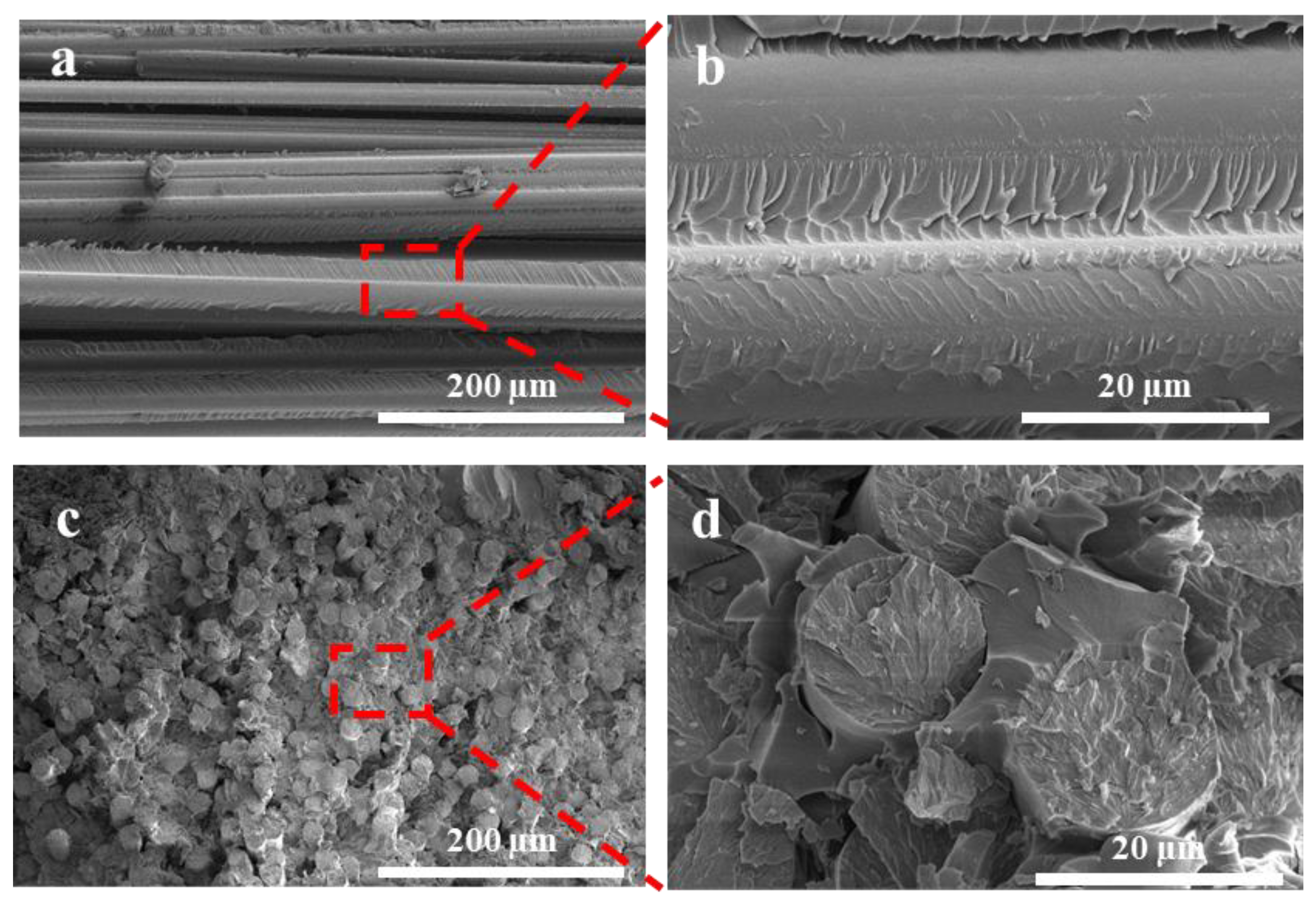 Polymers 16 00235 g008