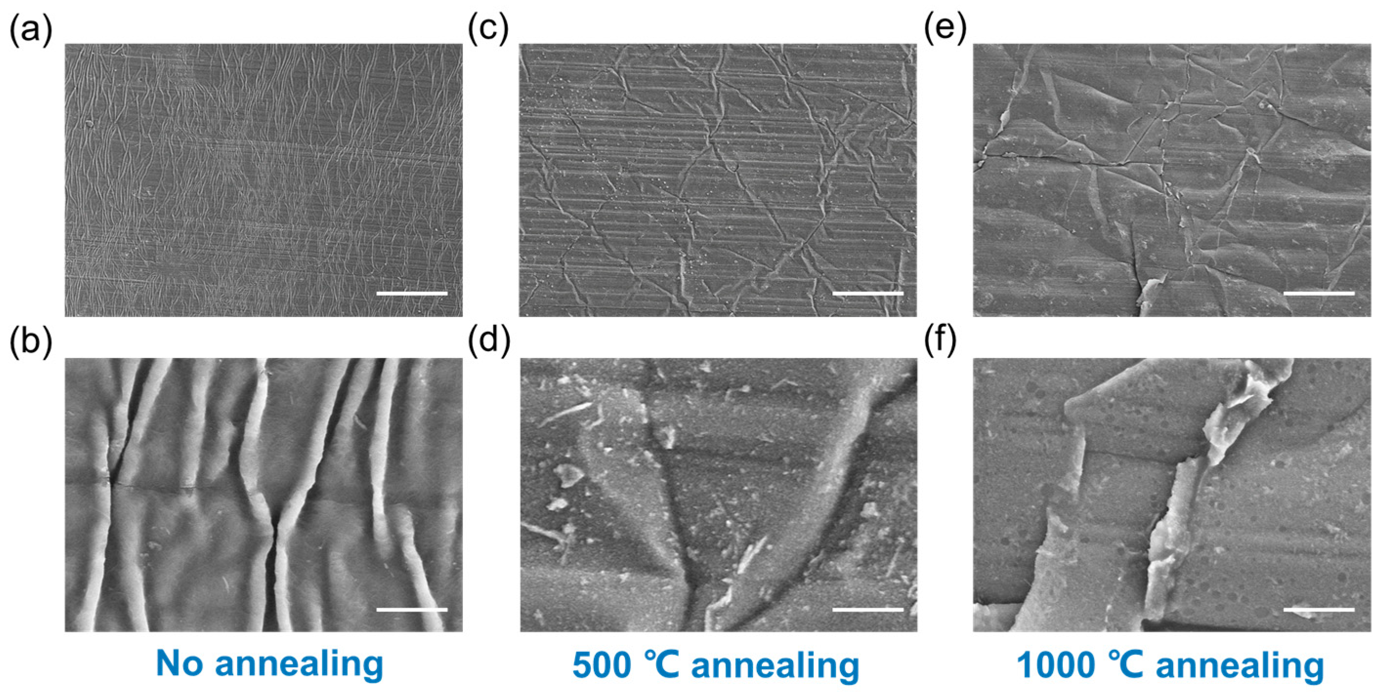Polymers 16 00238 g002