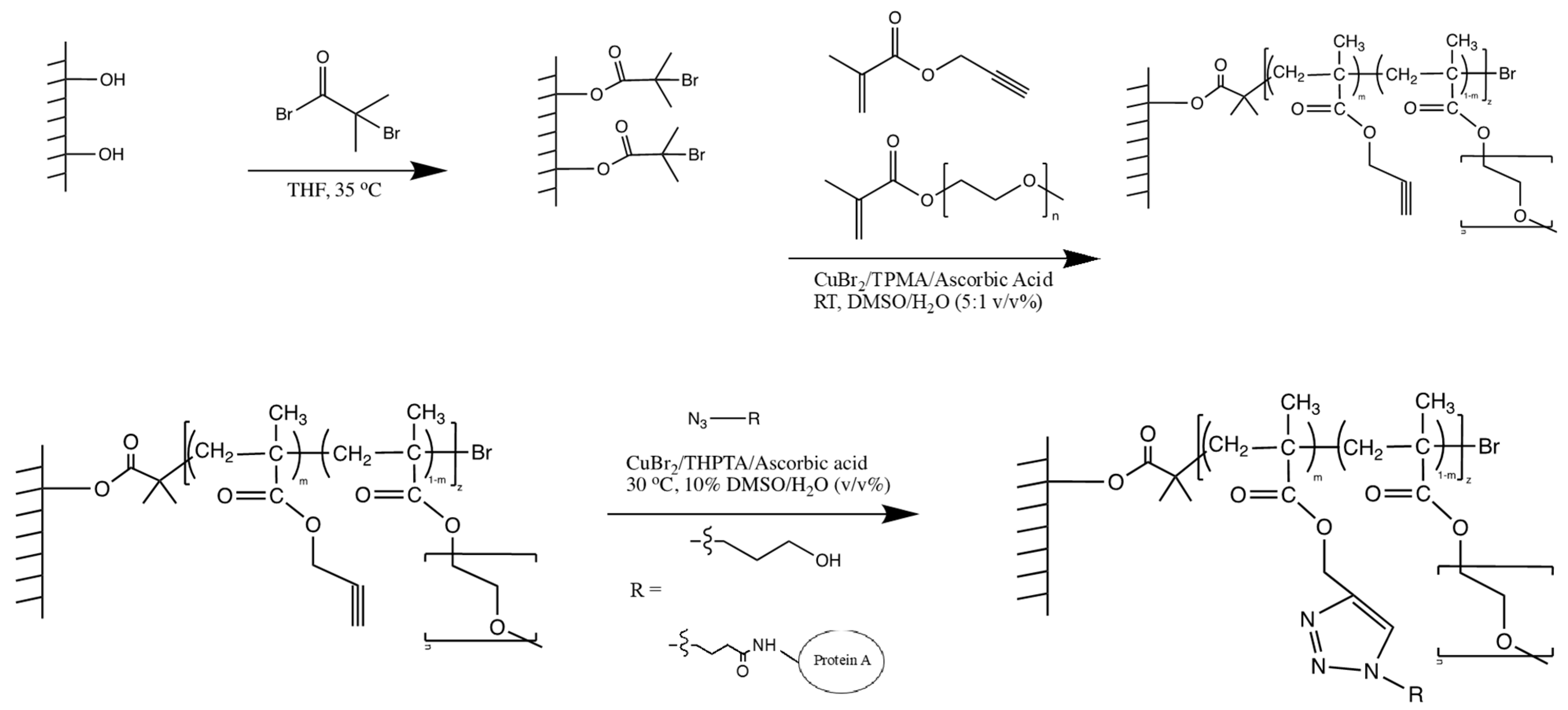 Polymers 16 00239 sch001 Polymers 16 00239 sch001