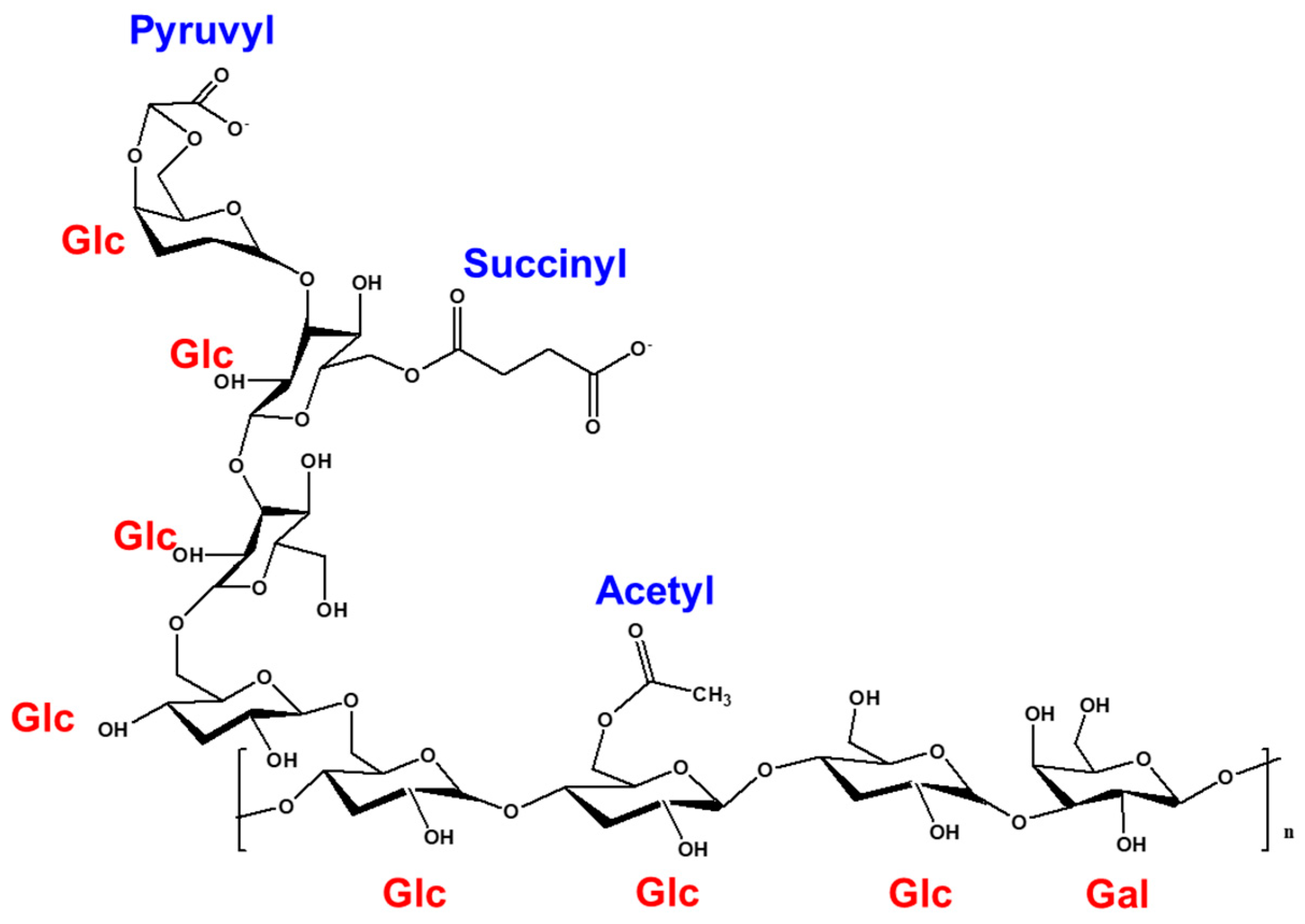 Polymers 16 00244 g003