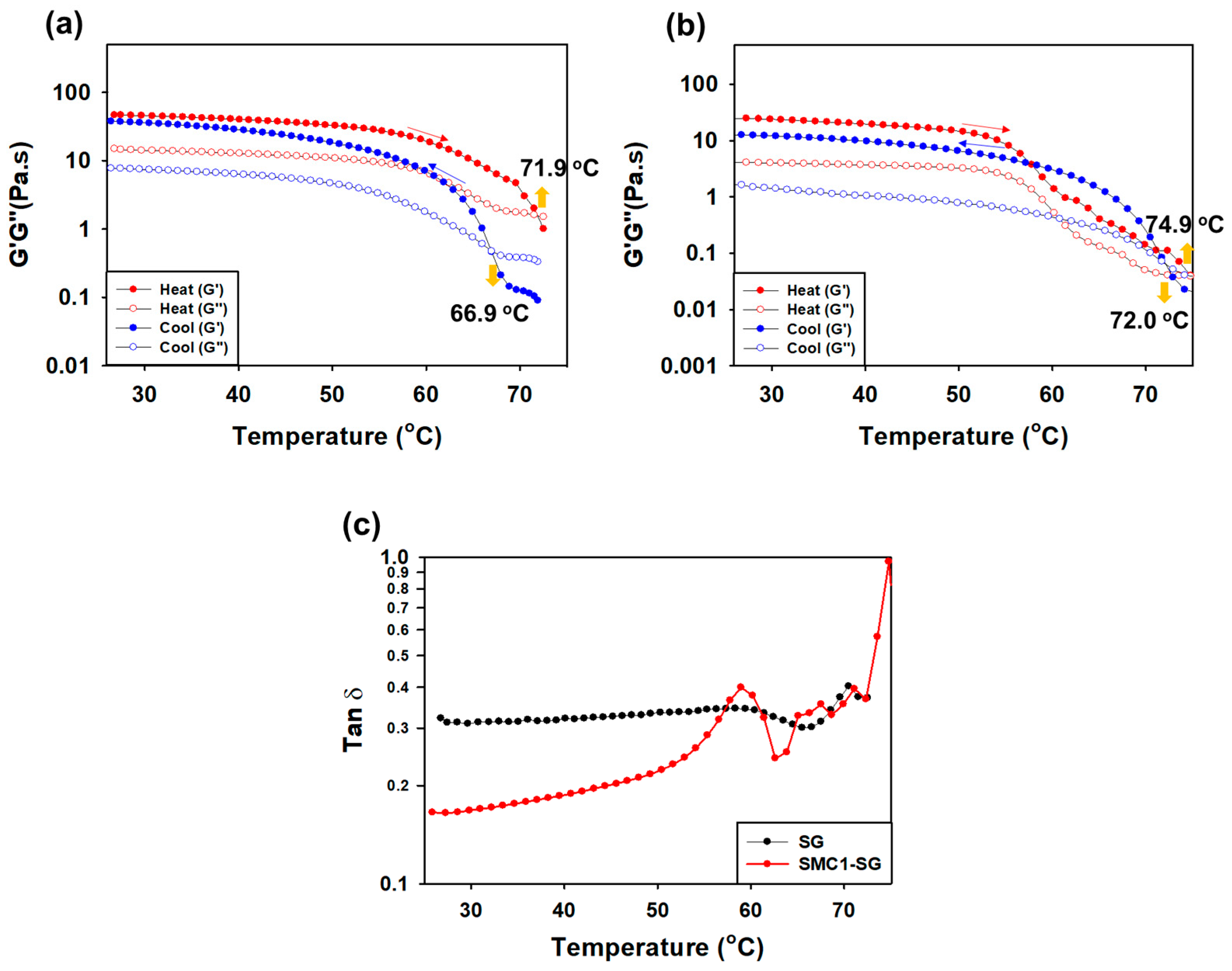 Polymers 16 00244 g009