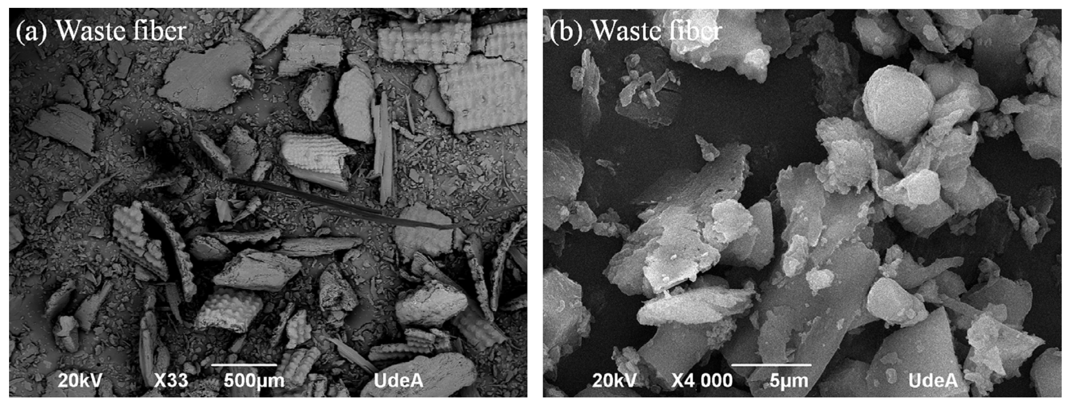 Polymers 16 00245 g002