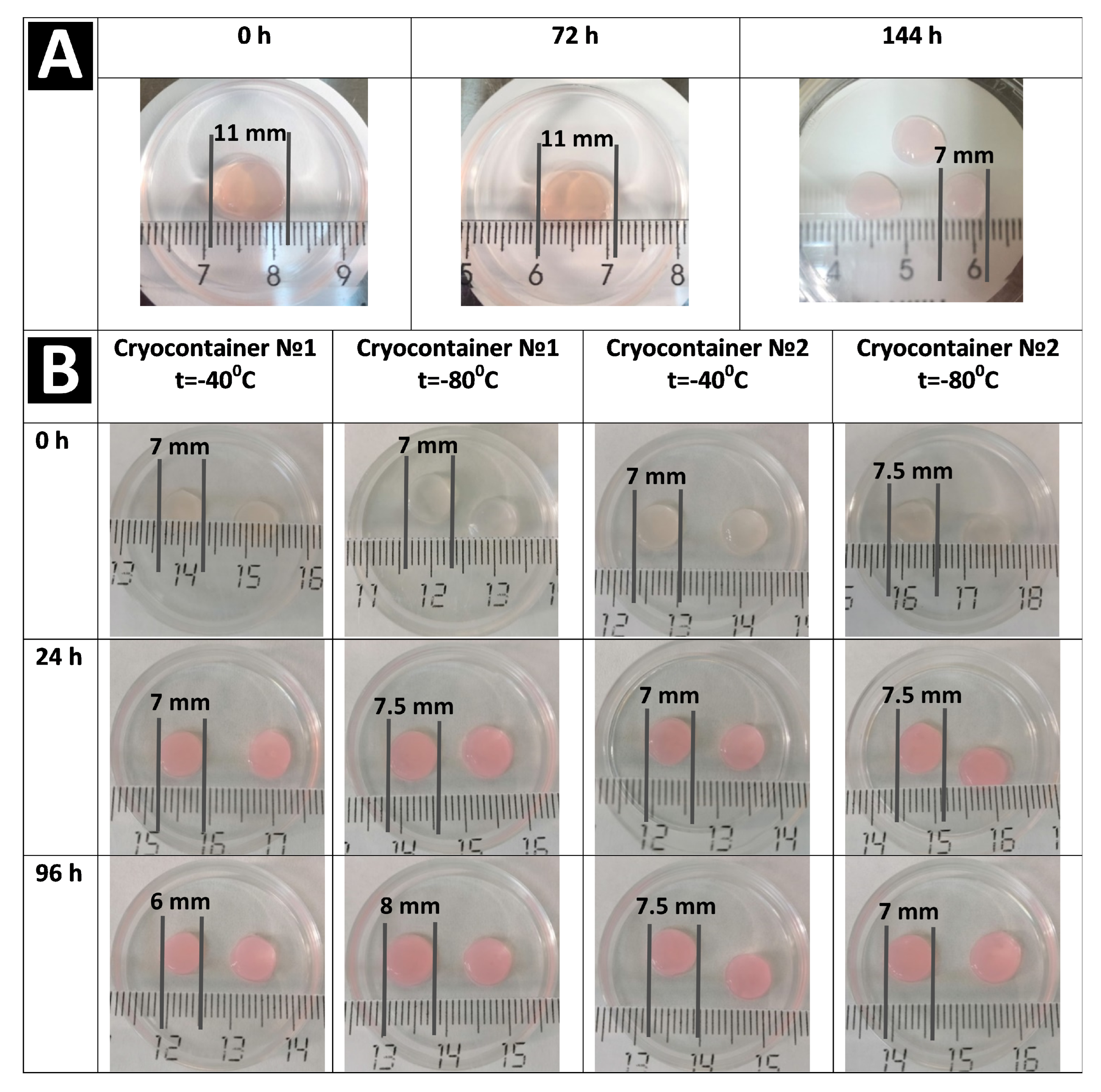 Polymers 16 00247 g004