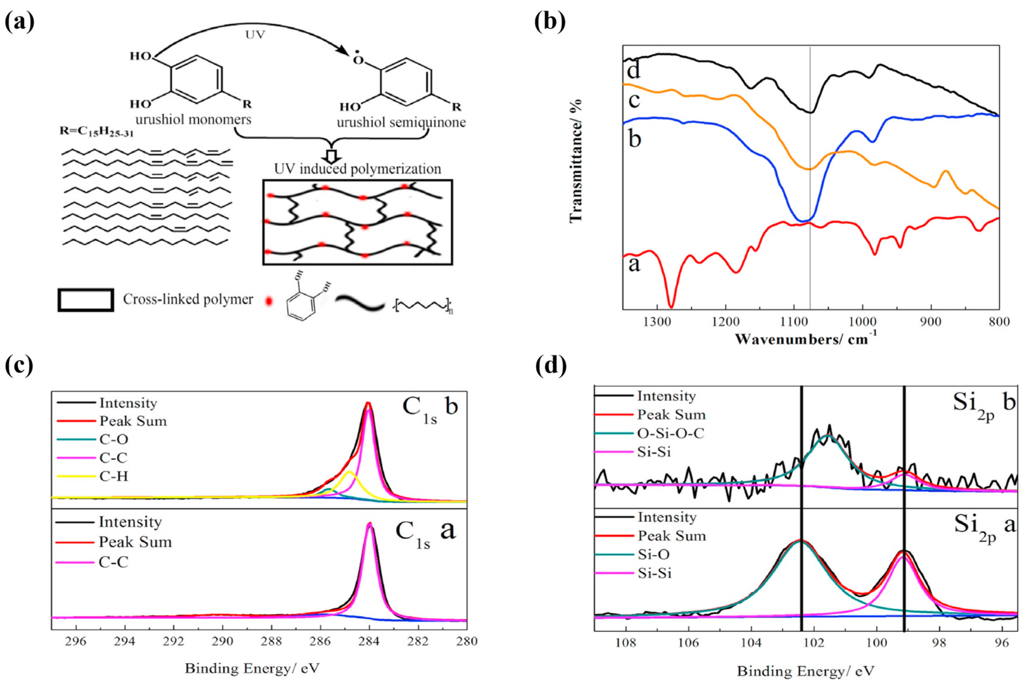 Polymers 16 00254 g005