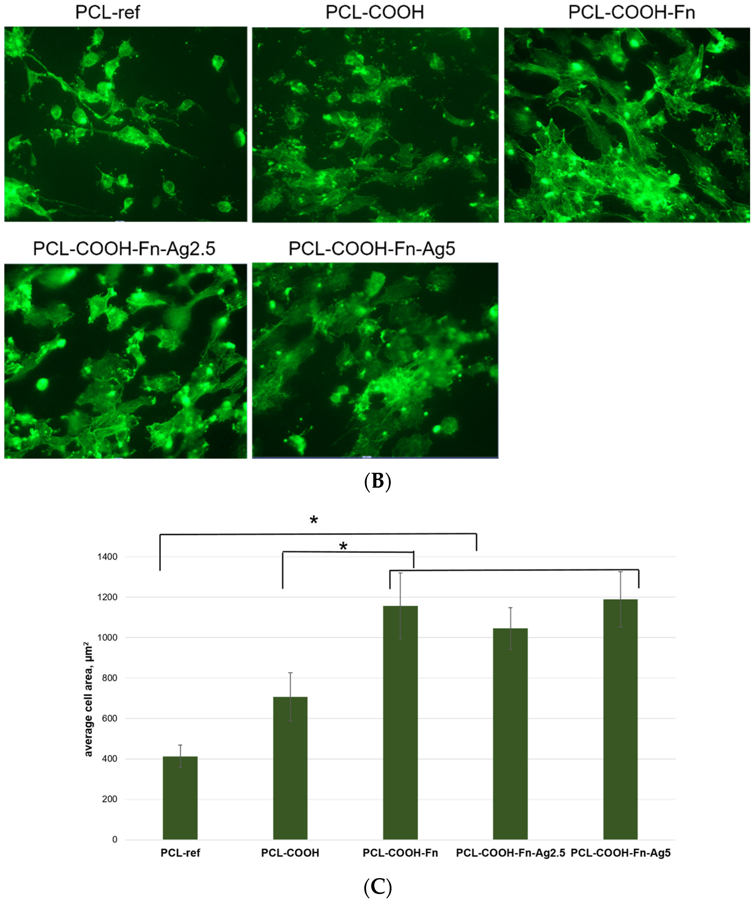 Polymers 16 00261 g006b Polymers 16 00261 g006b